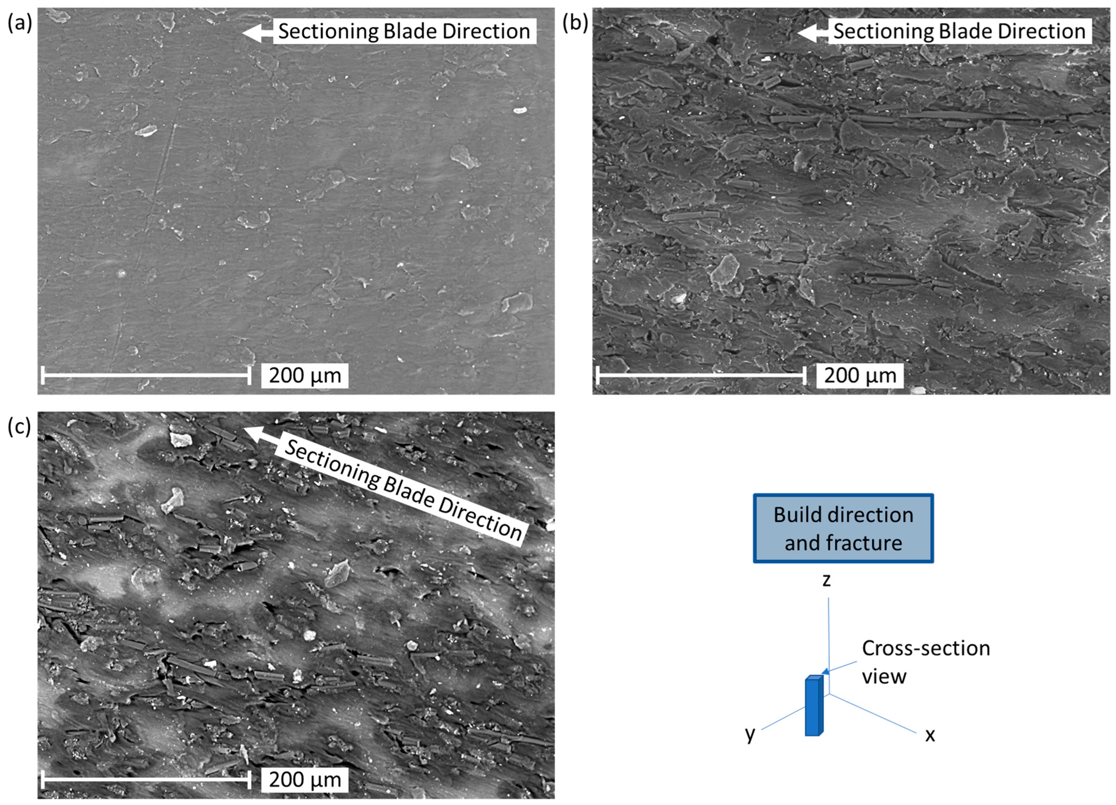 Polymers 17 02028 g005