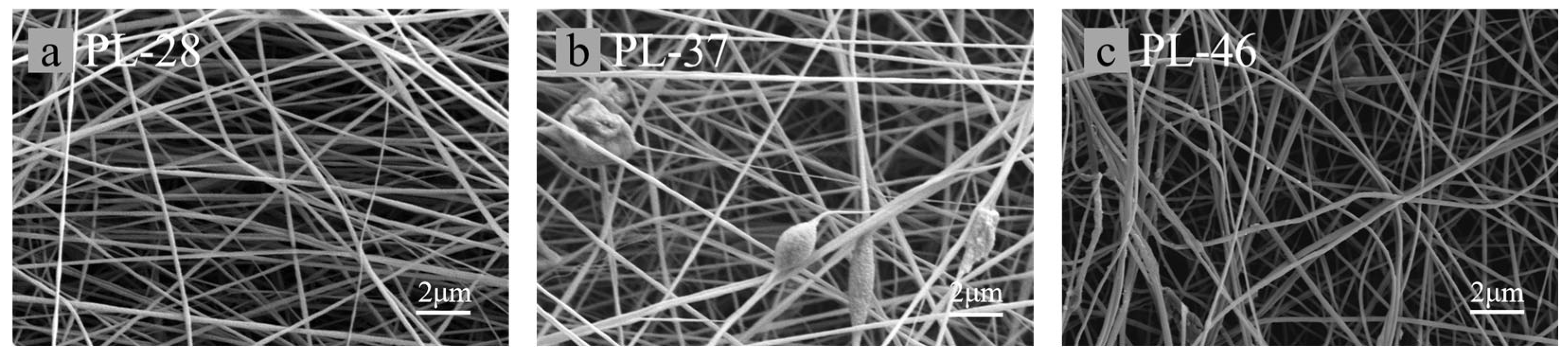 Polymers 17 02030 g004