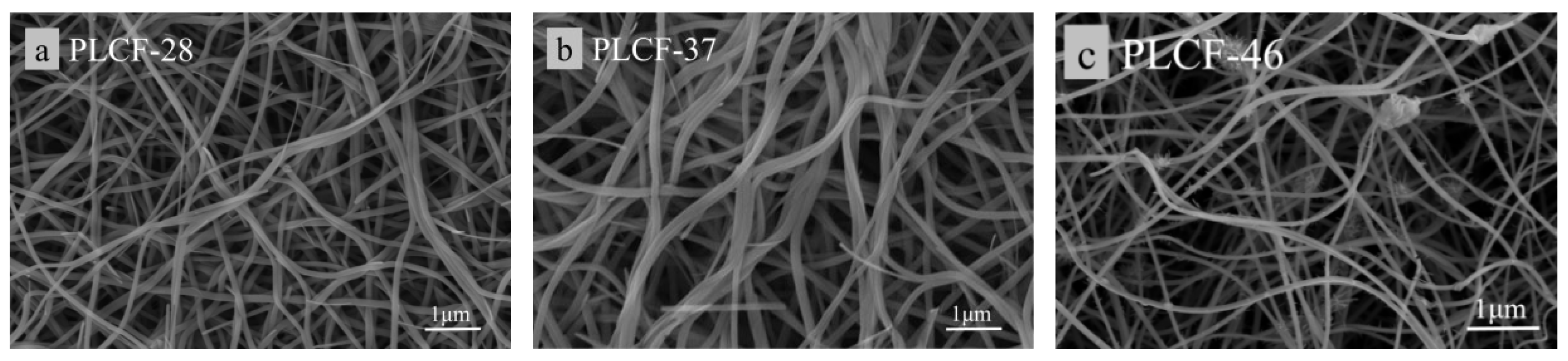 Polymers 17 02030 g005