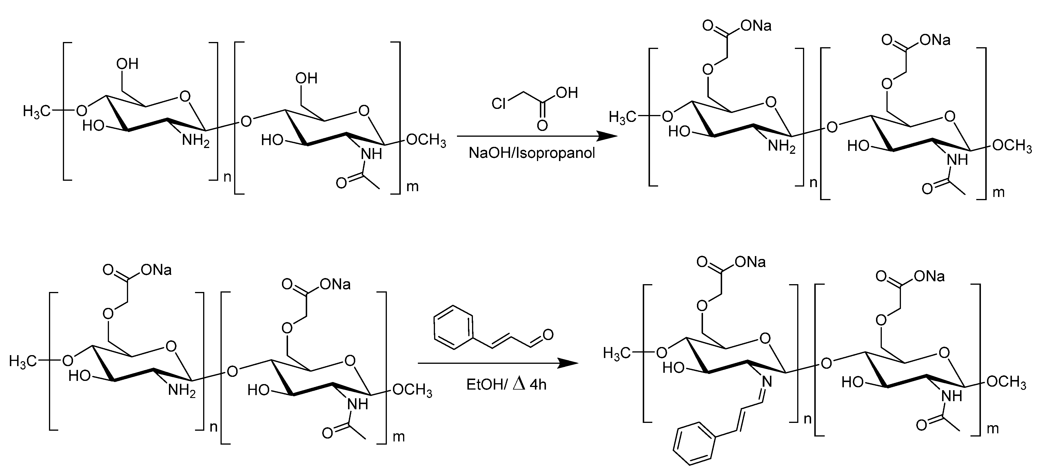 Polymers 17 02031 sch001