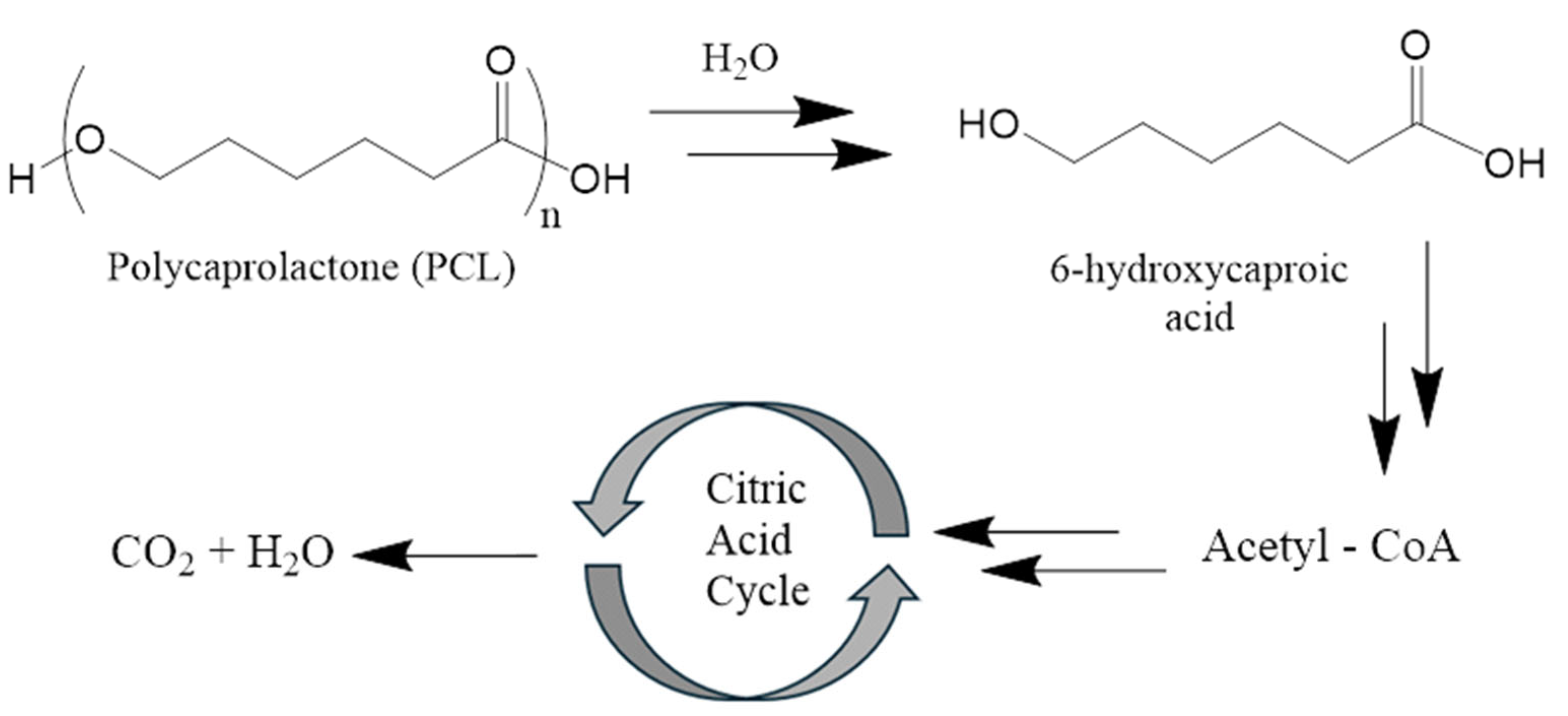 Polymers 17 02036 g002