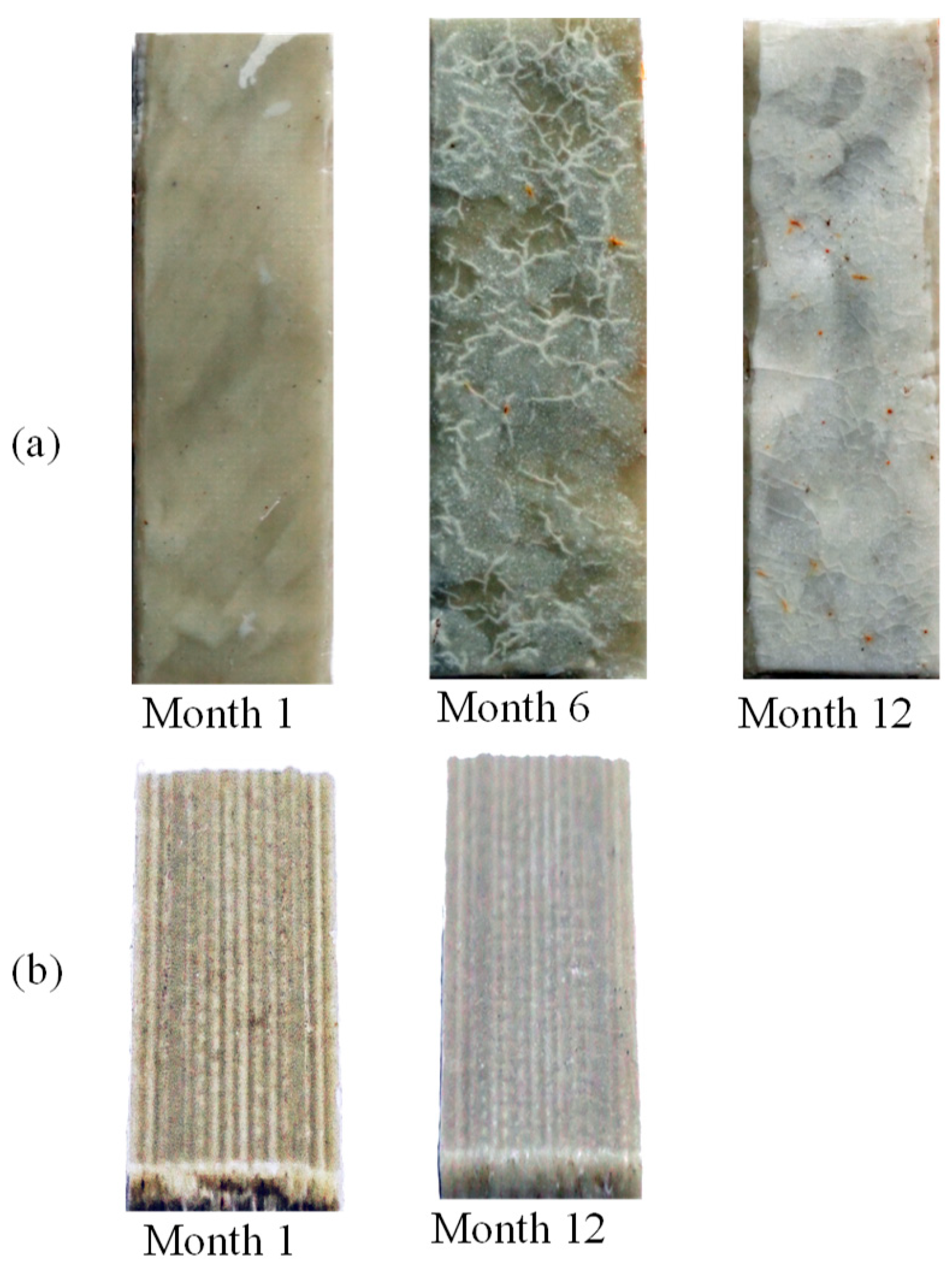 Polymers 17 02037 g004