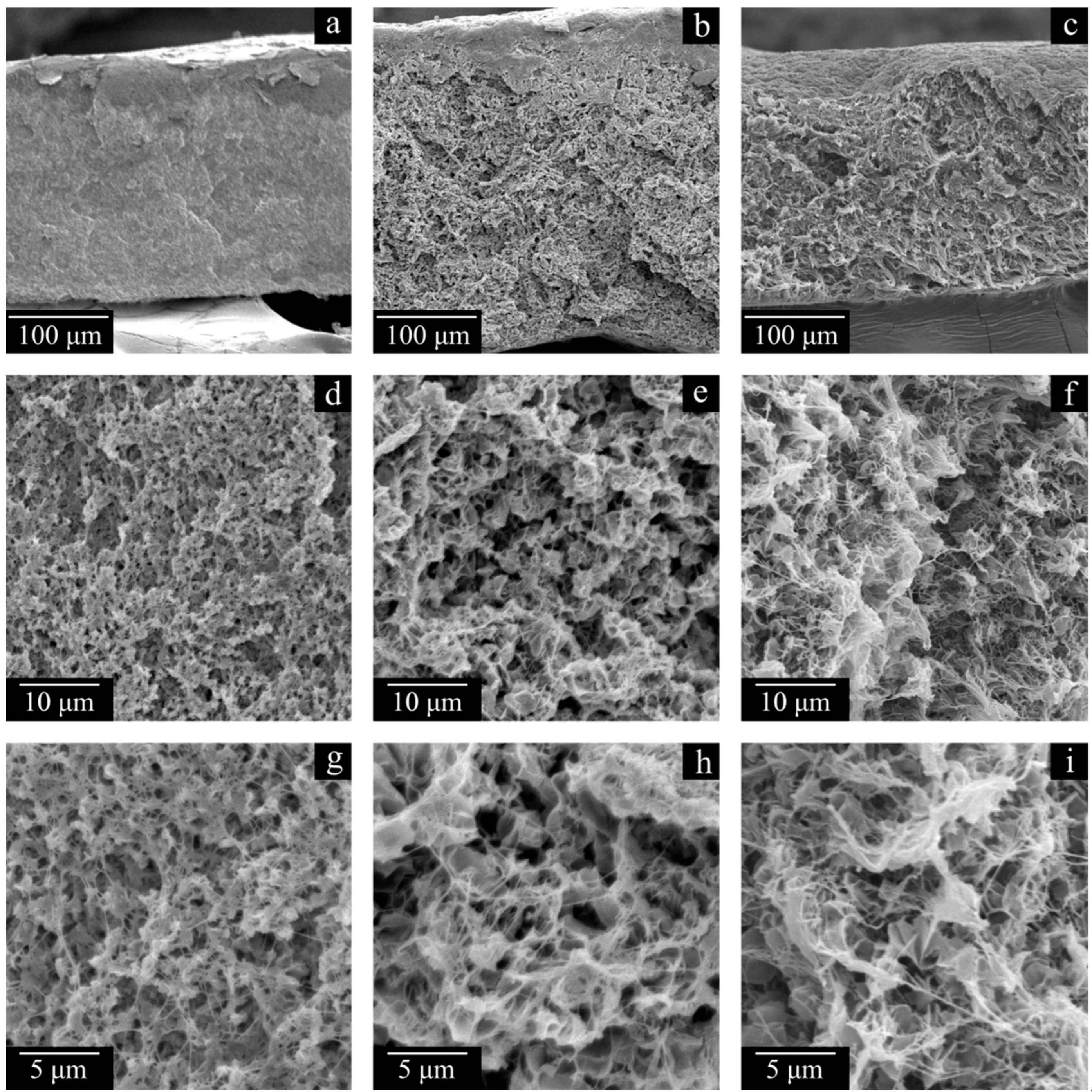Polymers 17 02044 g007