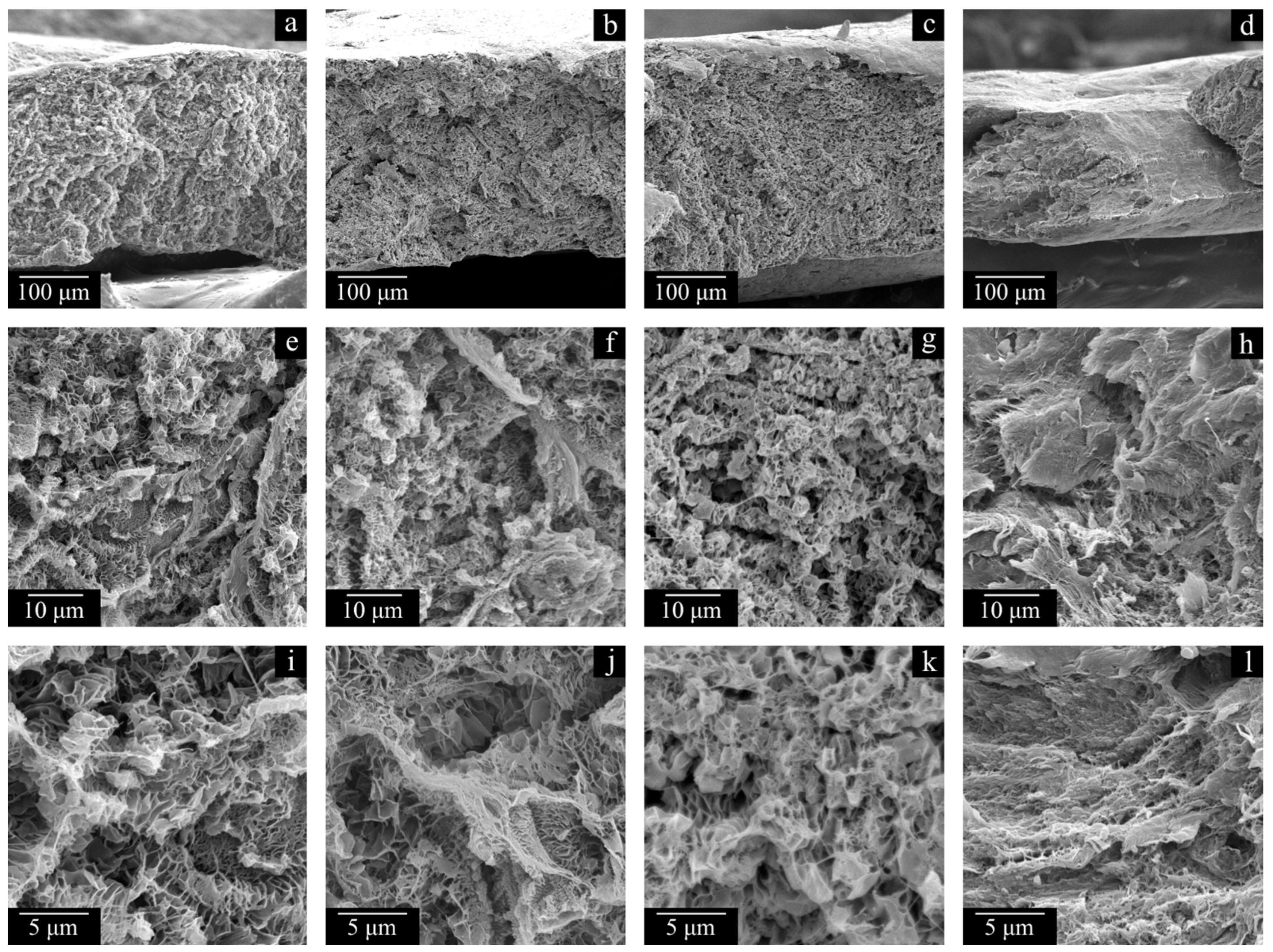 Polymers 17 02044 g012