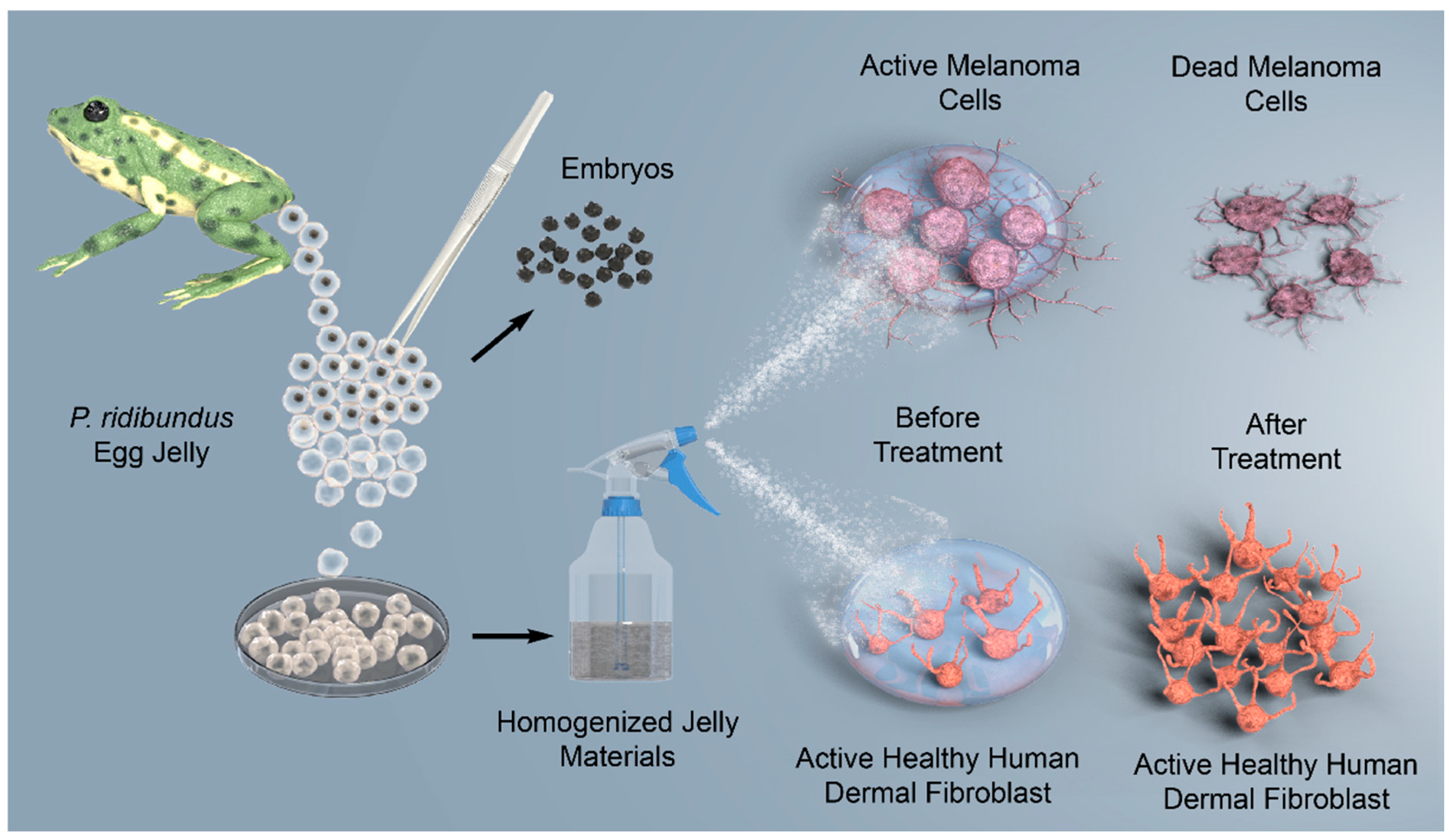 Polymers 17 02046 g001