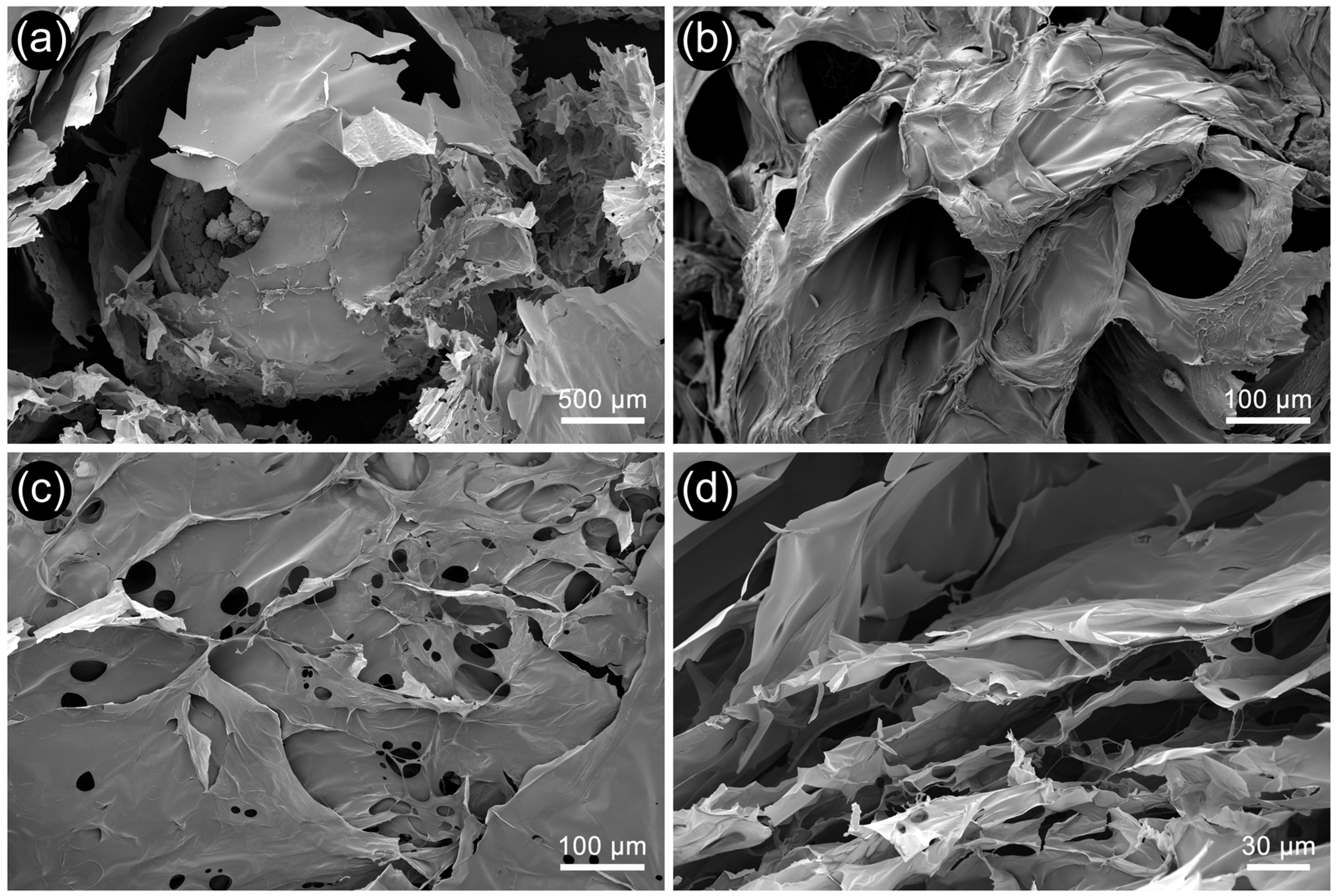 Polymers 17 02046 g003