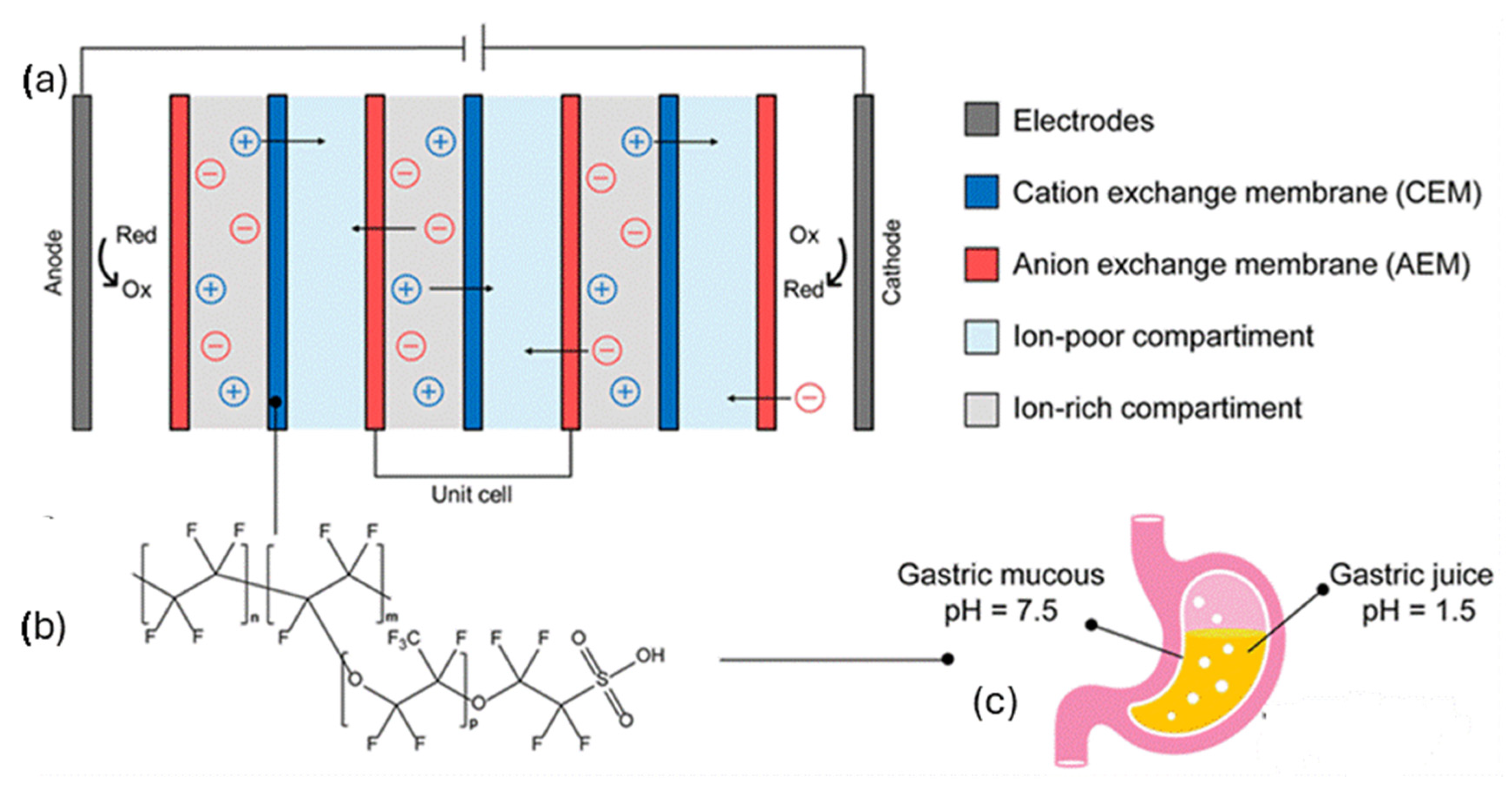 Polymers 17 02054 g001