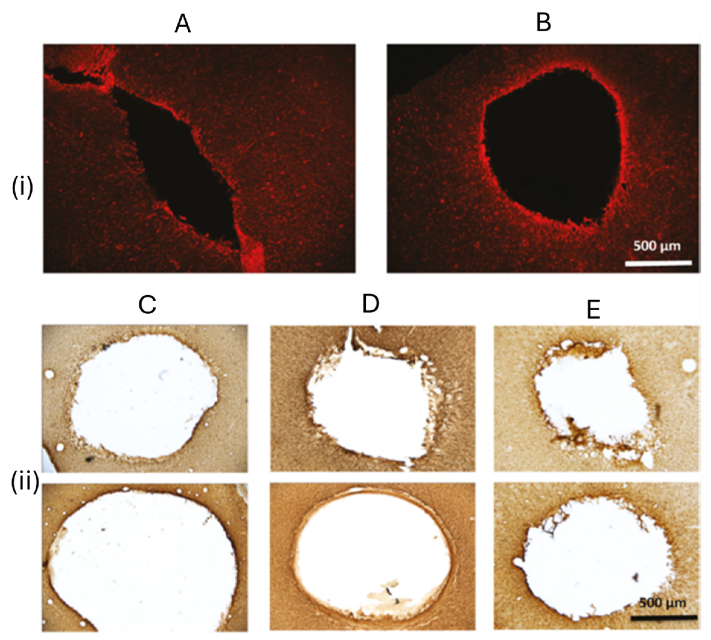 Polymers 17 02054 g003