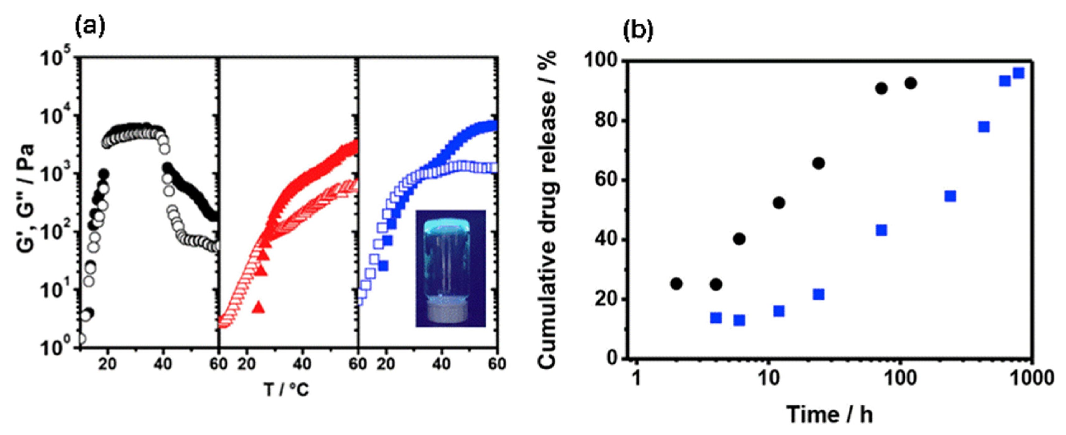 Polymers 17 02054 g008