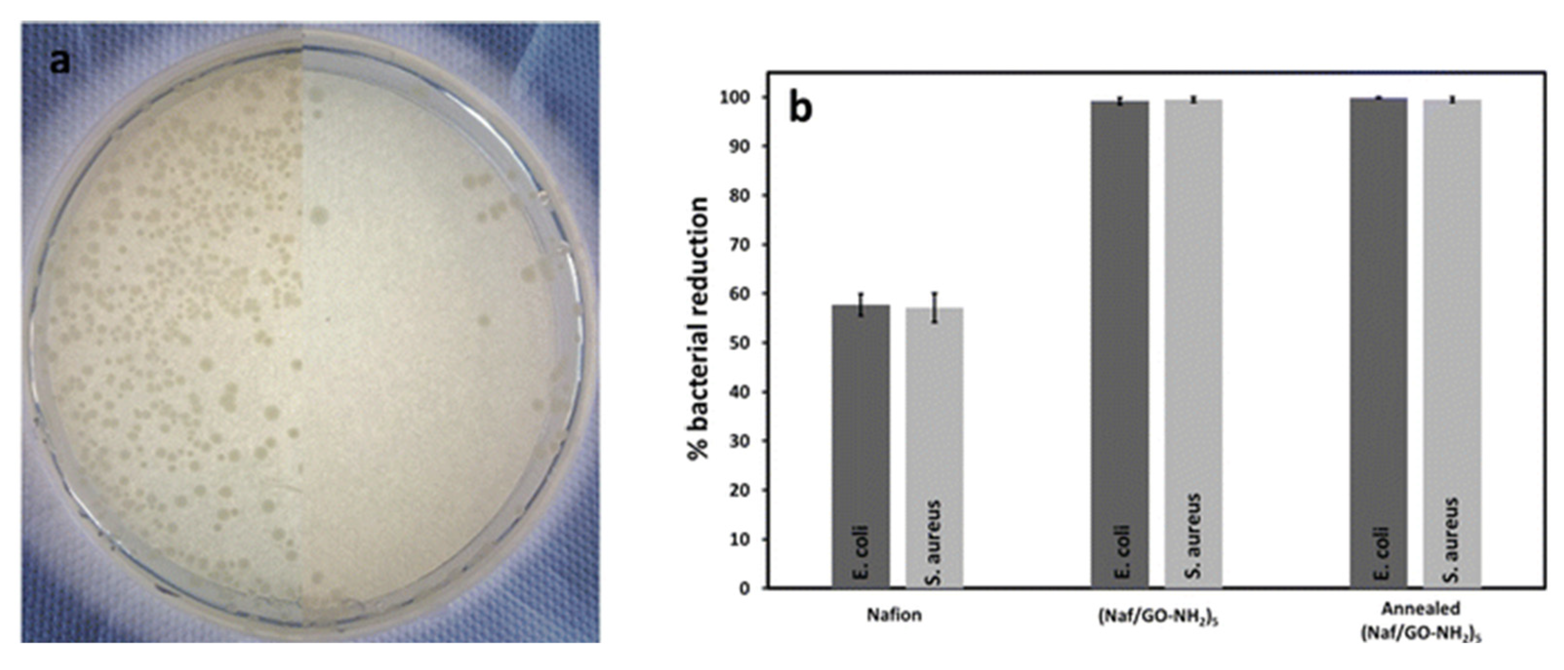 Polymers 17 02054 g011