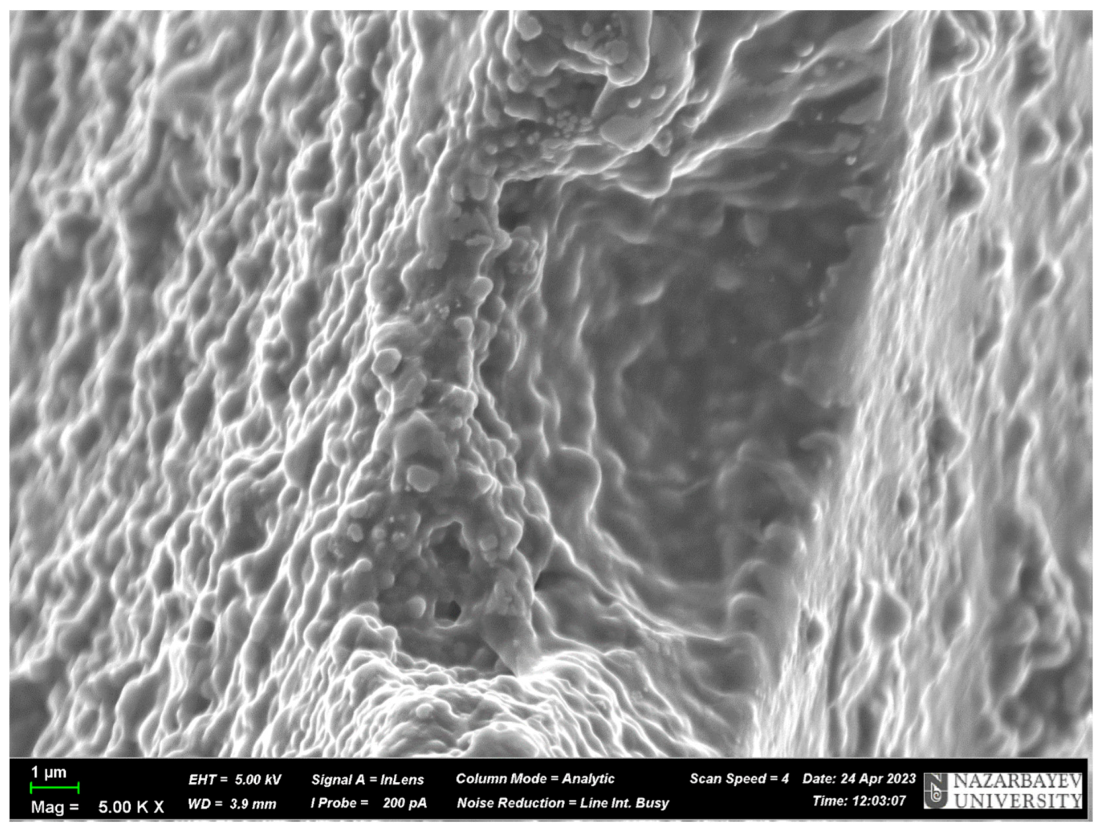 Polymers 17 02055 g008