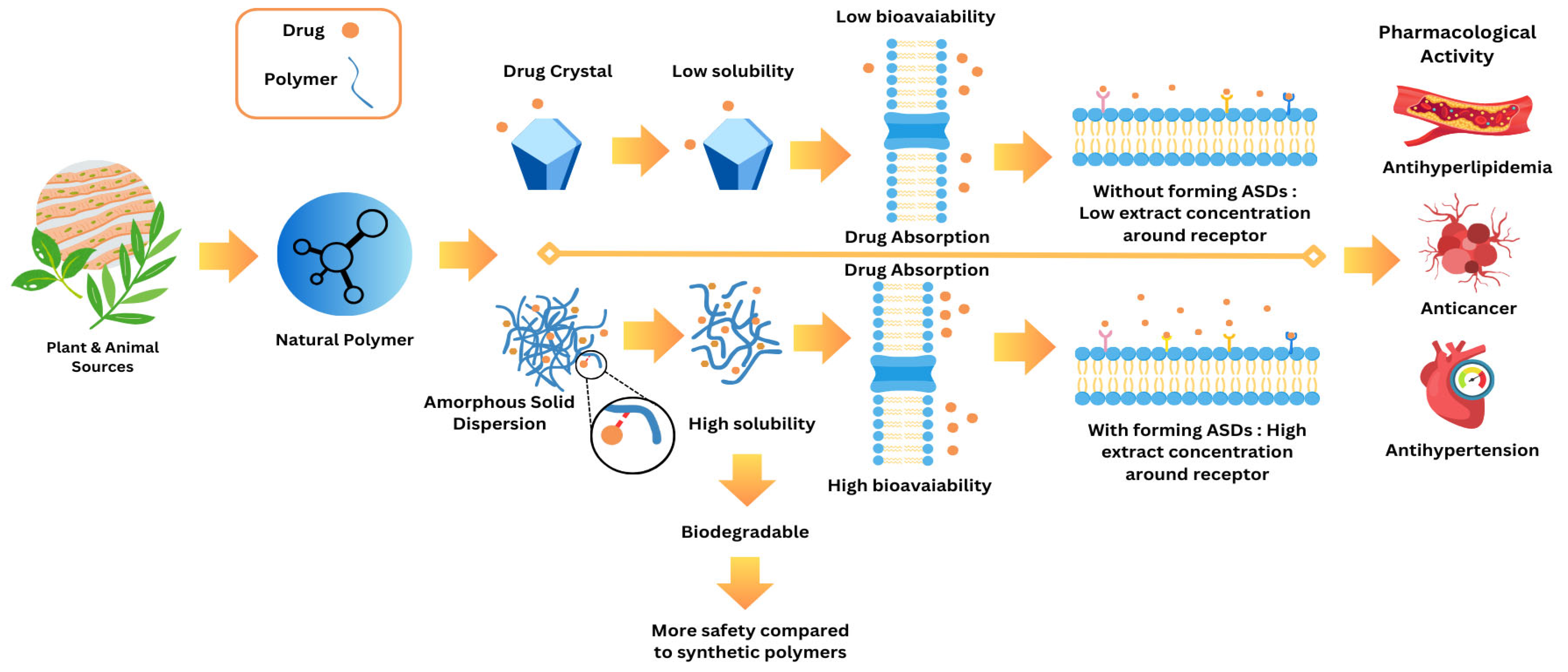 Polymers 17 02059 g005