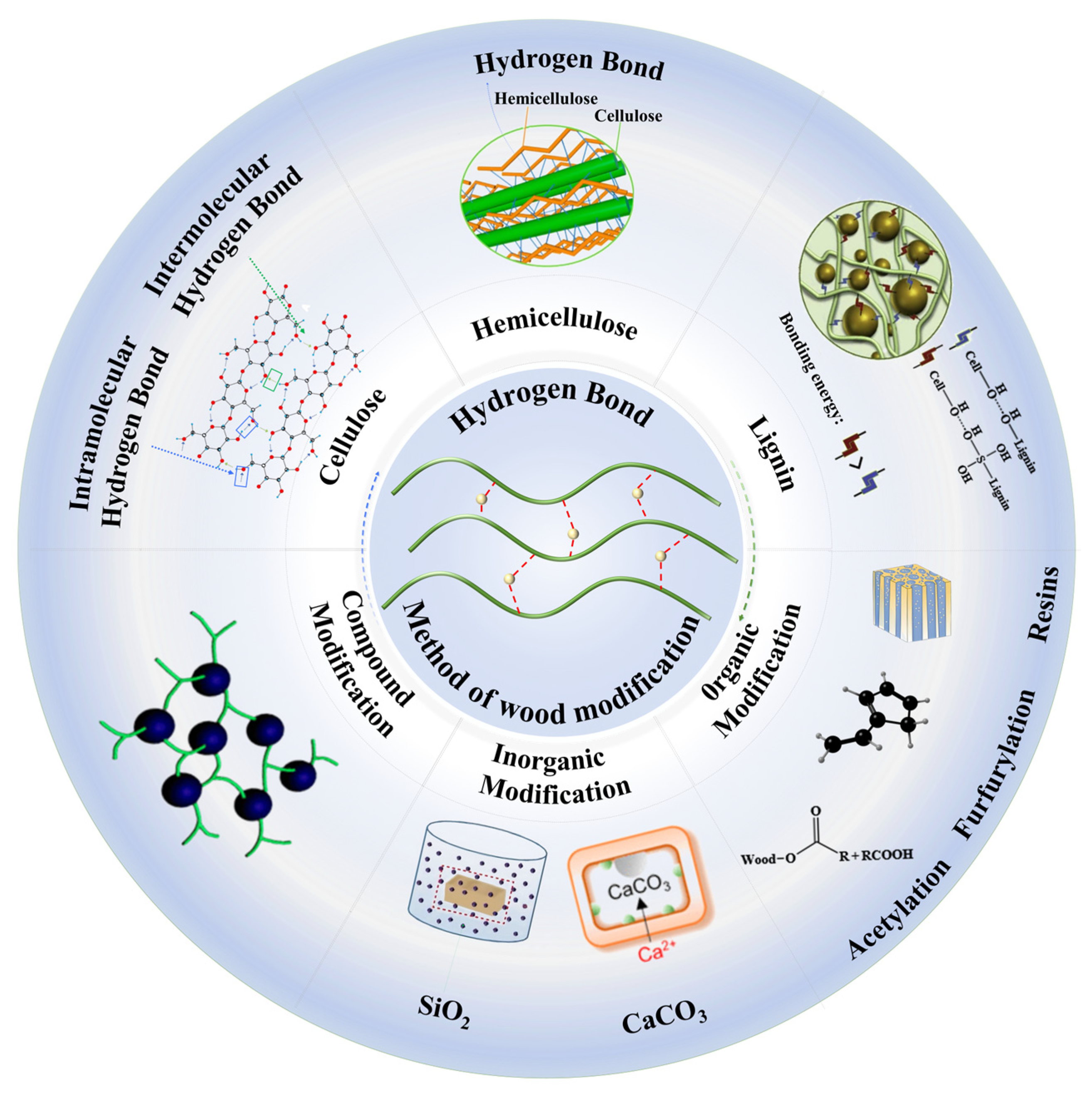 Polymers 17 02064 g001