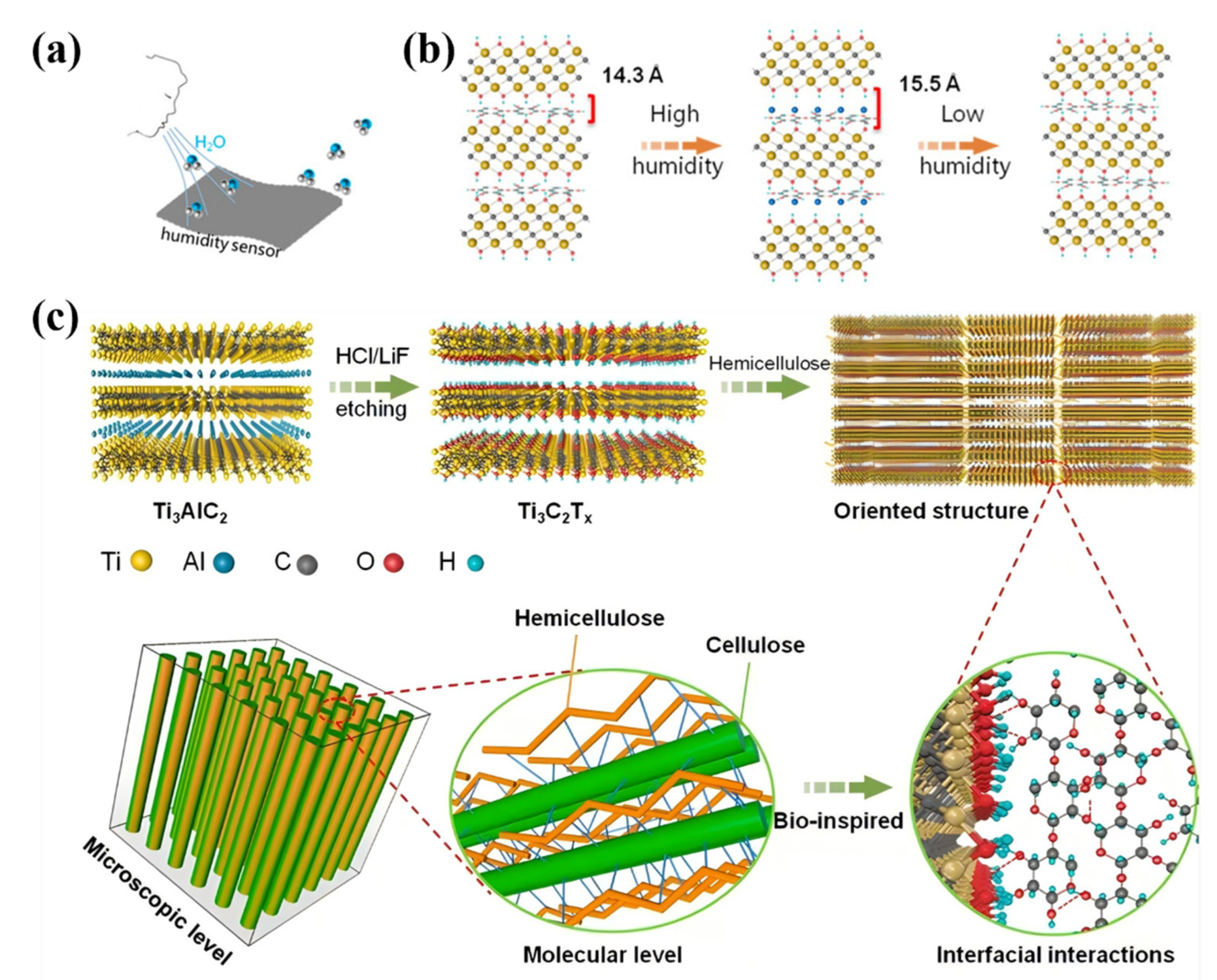 Polymers 17 02064 g004