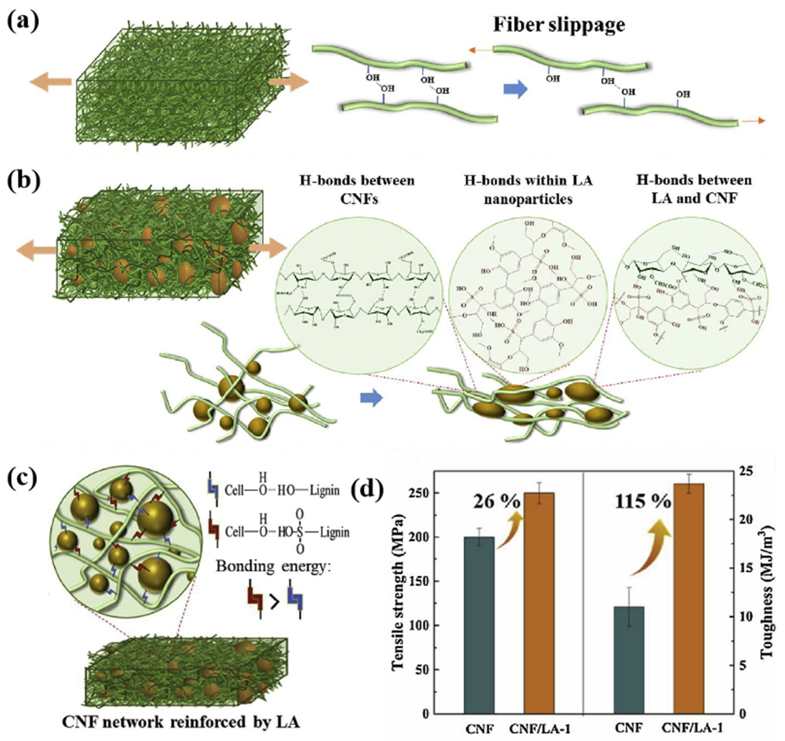 Polymers 17 02064 g006