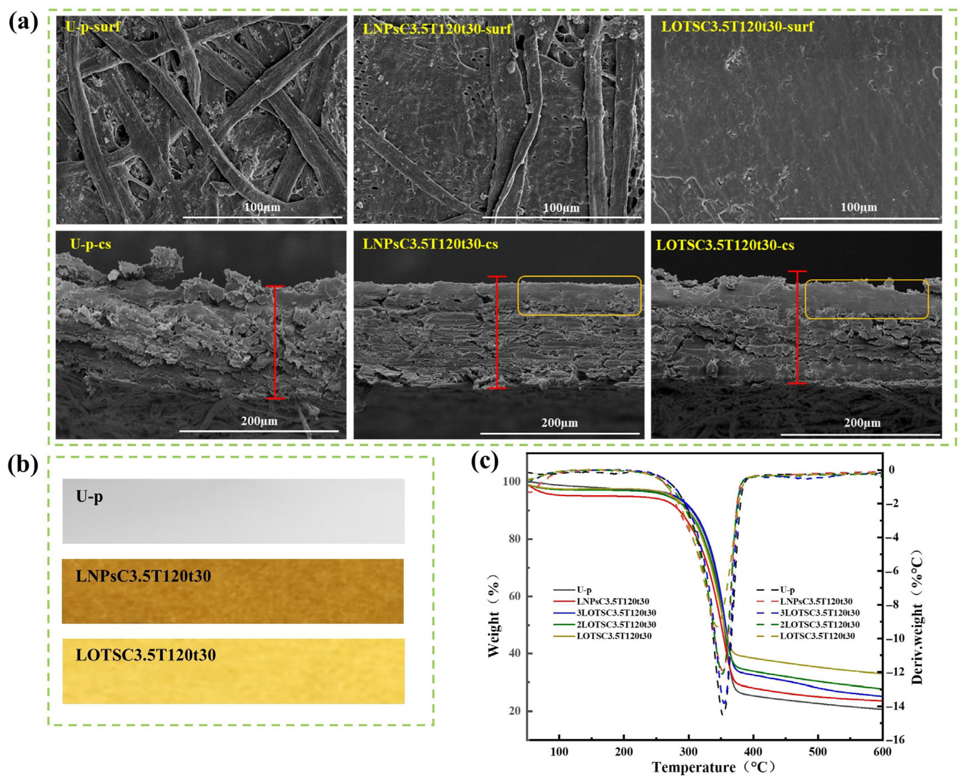Polymers 17 02066 g005