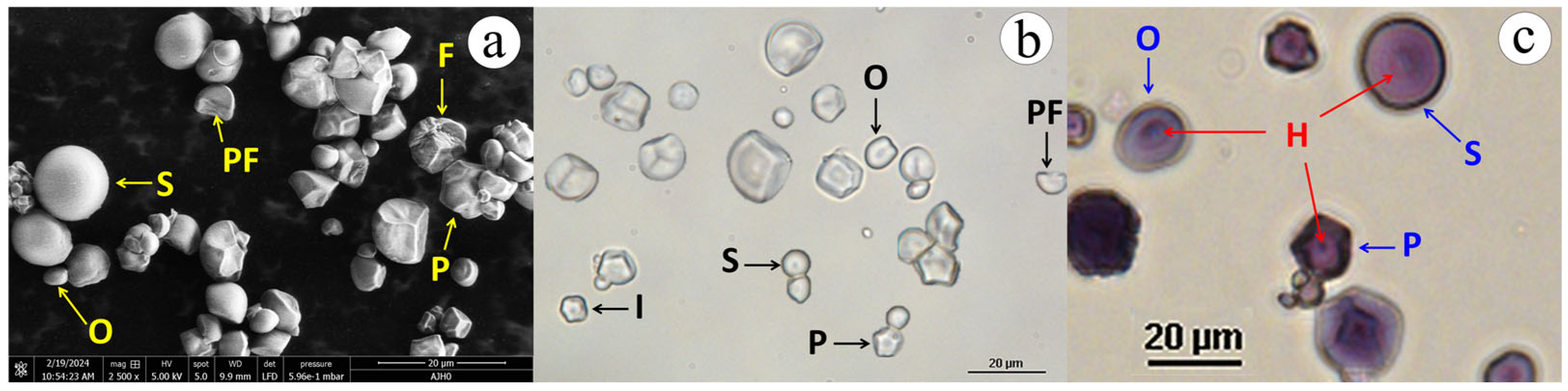 Polymers 17 02069 g002