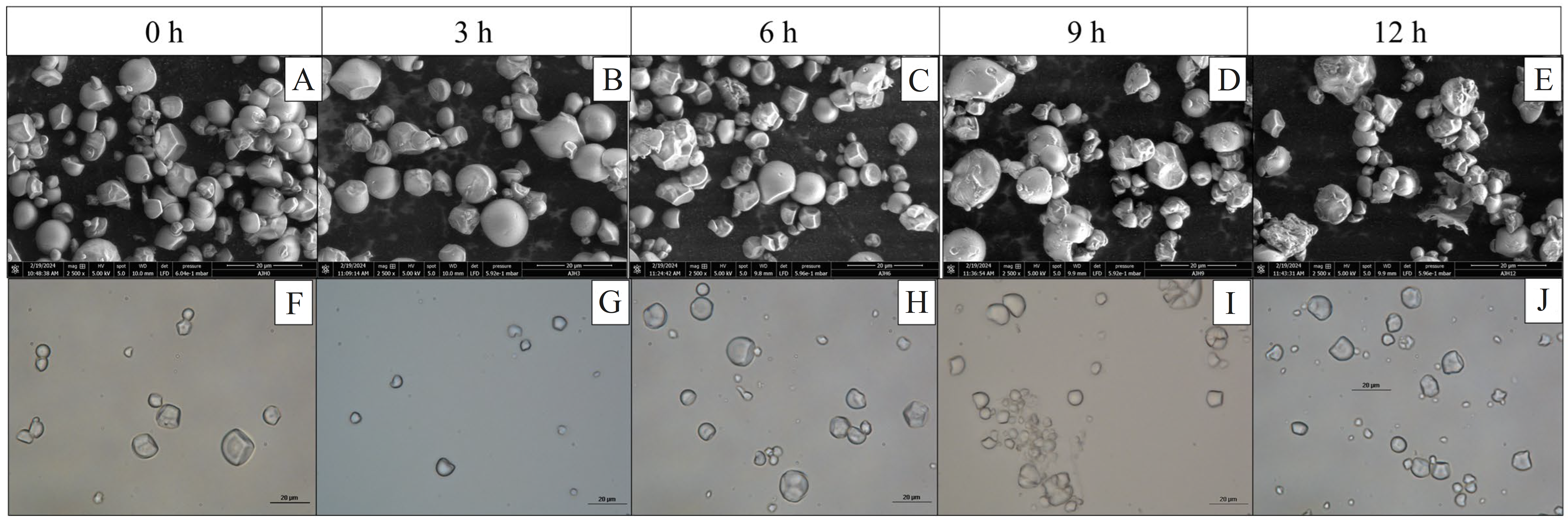 Polymers 17 02069 g003