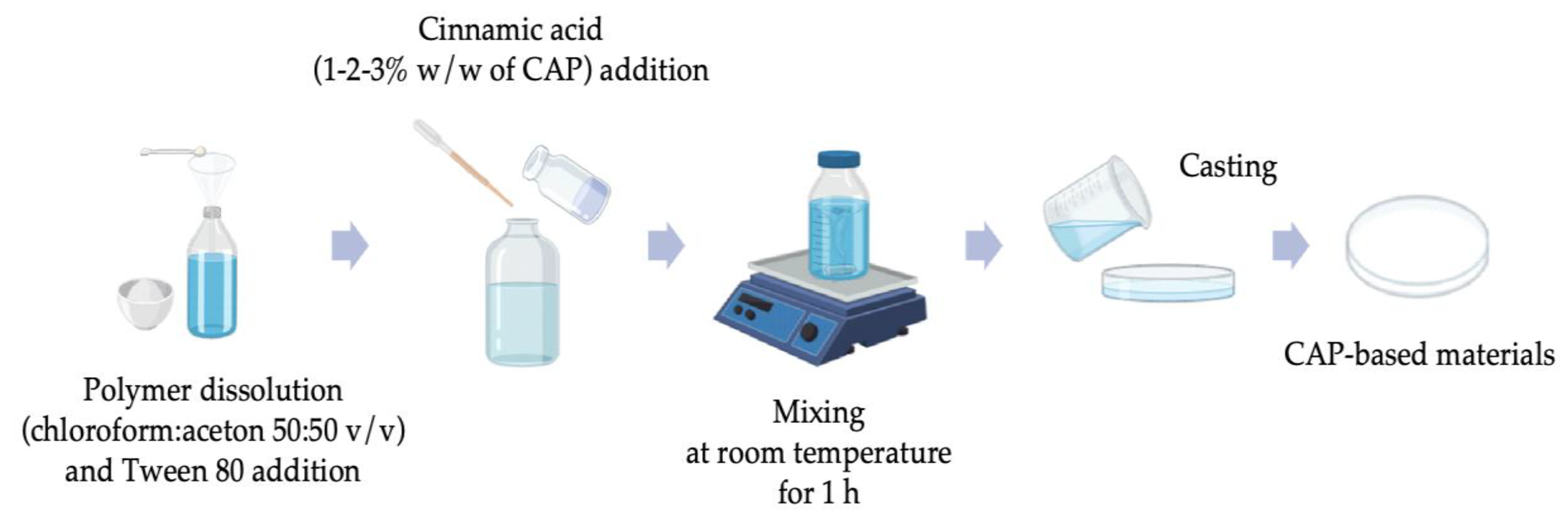 Polymers 17 02072 g001