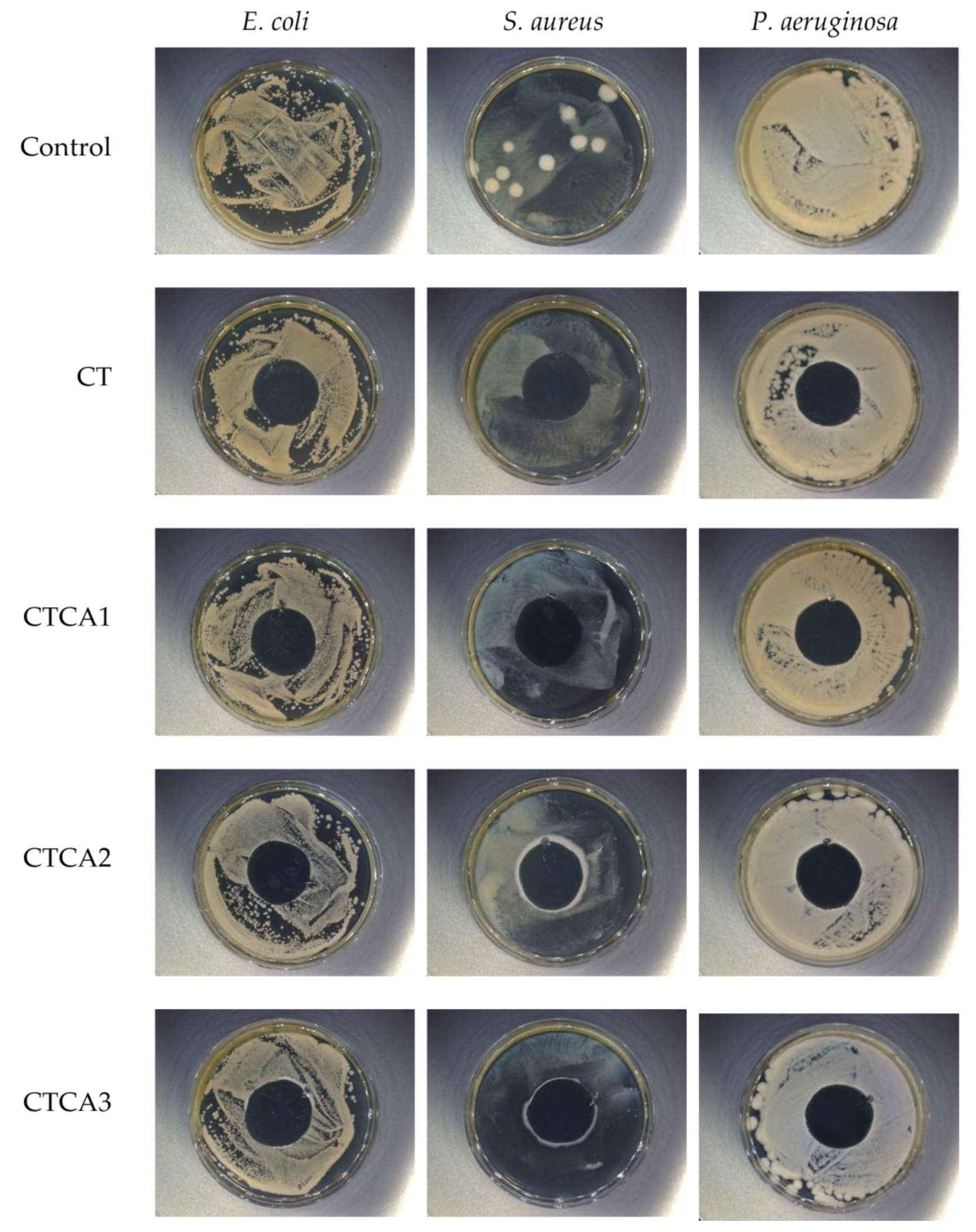 Polymers 17 02072 g008