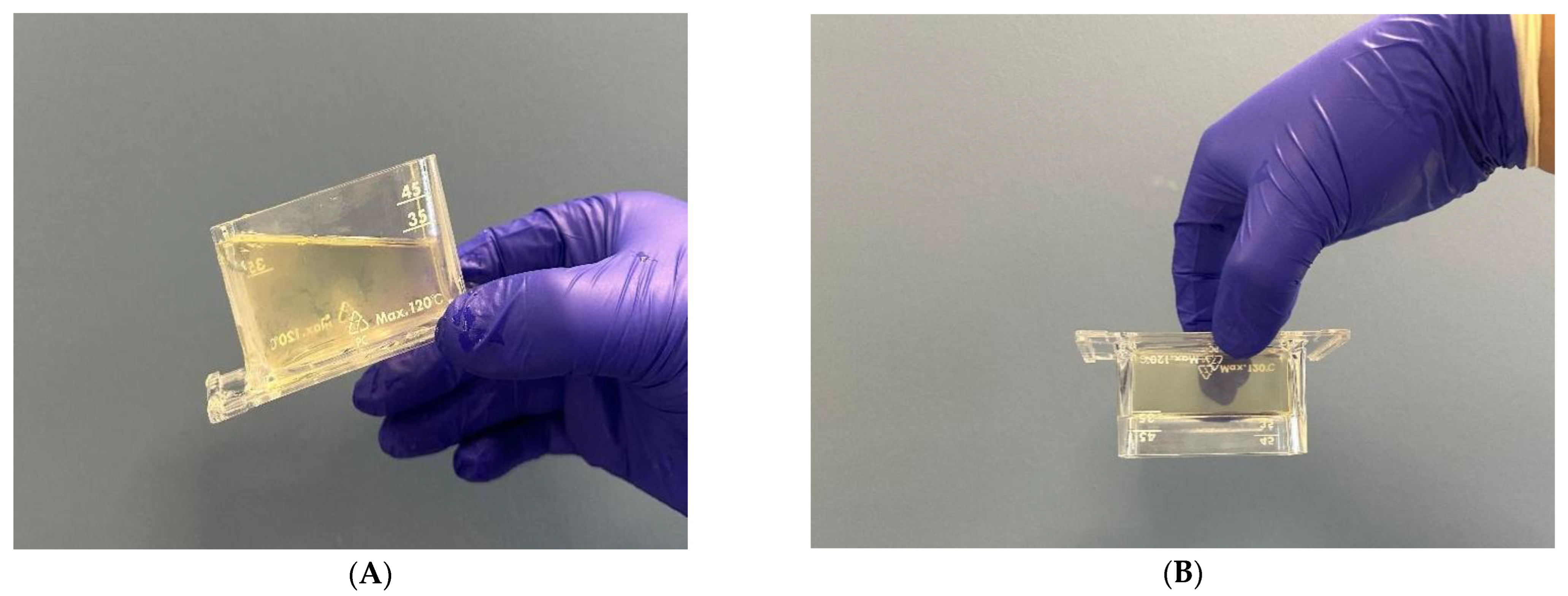 Polymers 17 02079 g005