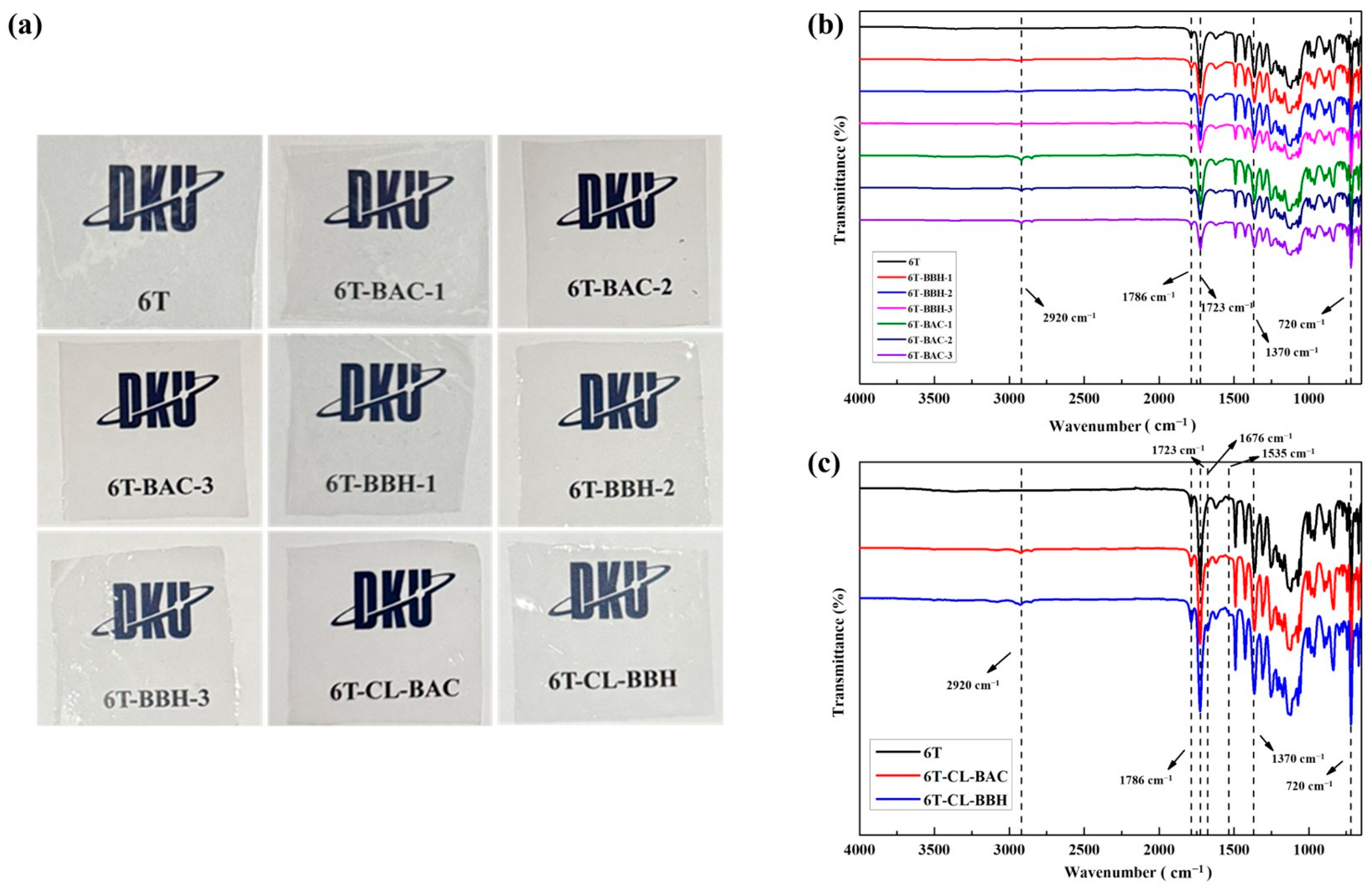 Polymers 17 02081 g001
