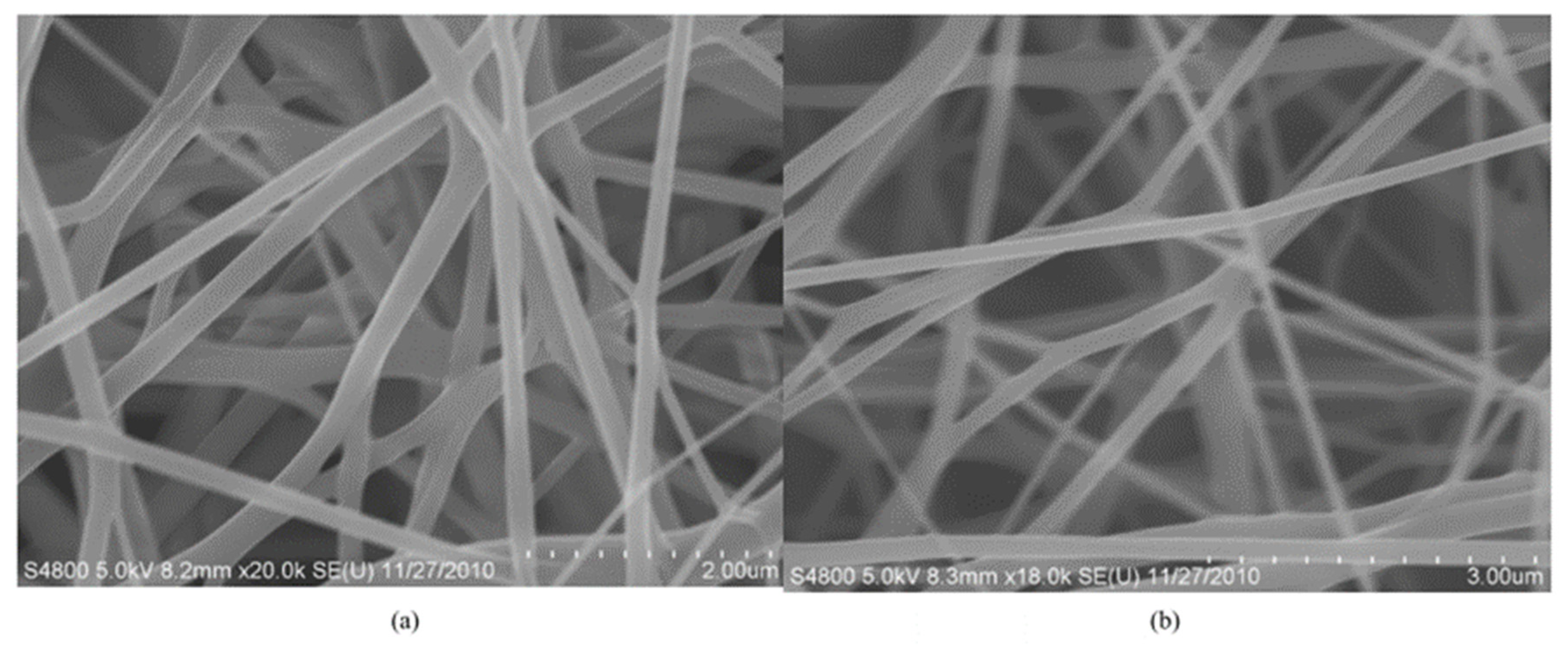 Polymers 17 02082 g004