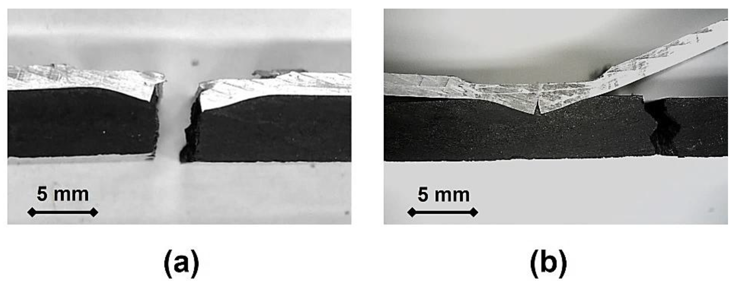 Polymers 17 02084 g008