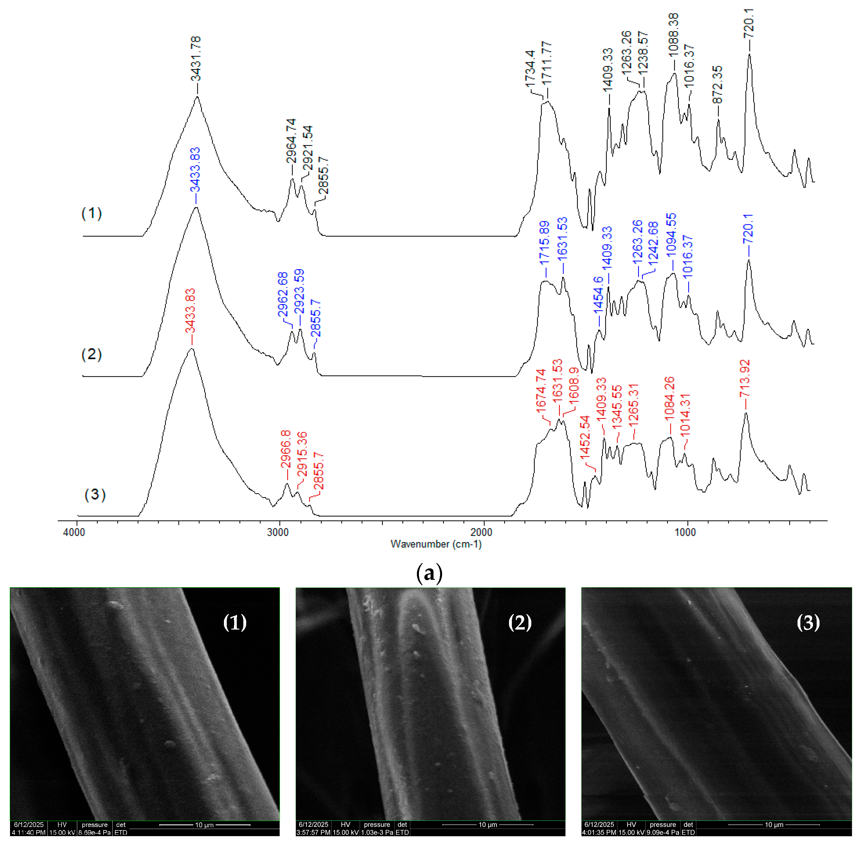 Polymers 17 02089 g011a