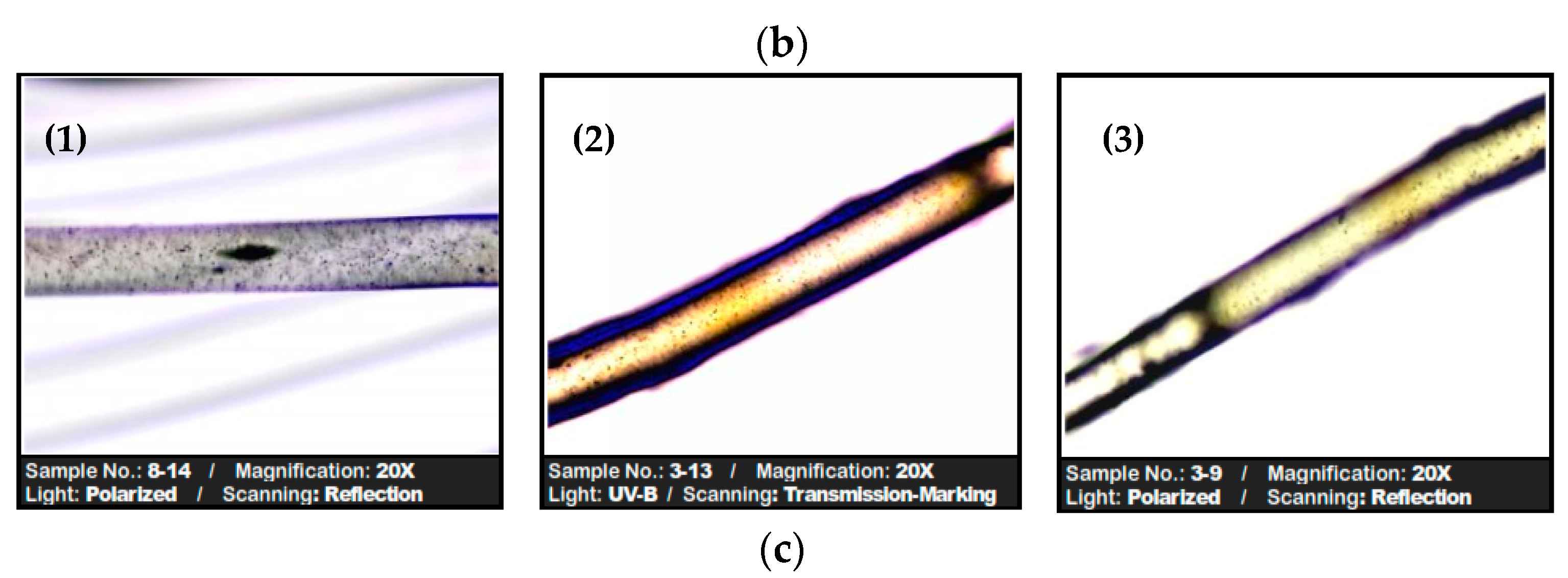 Polymers 17 02089 g011b