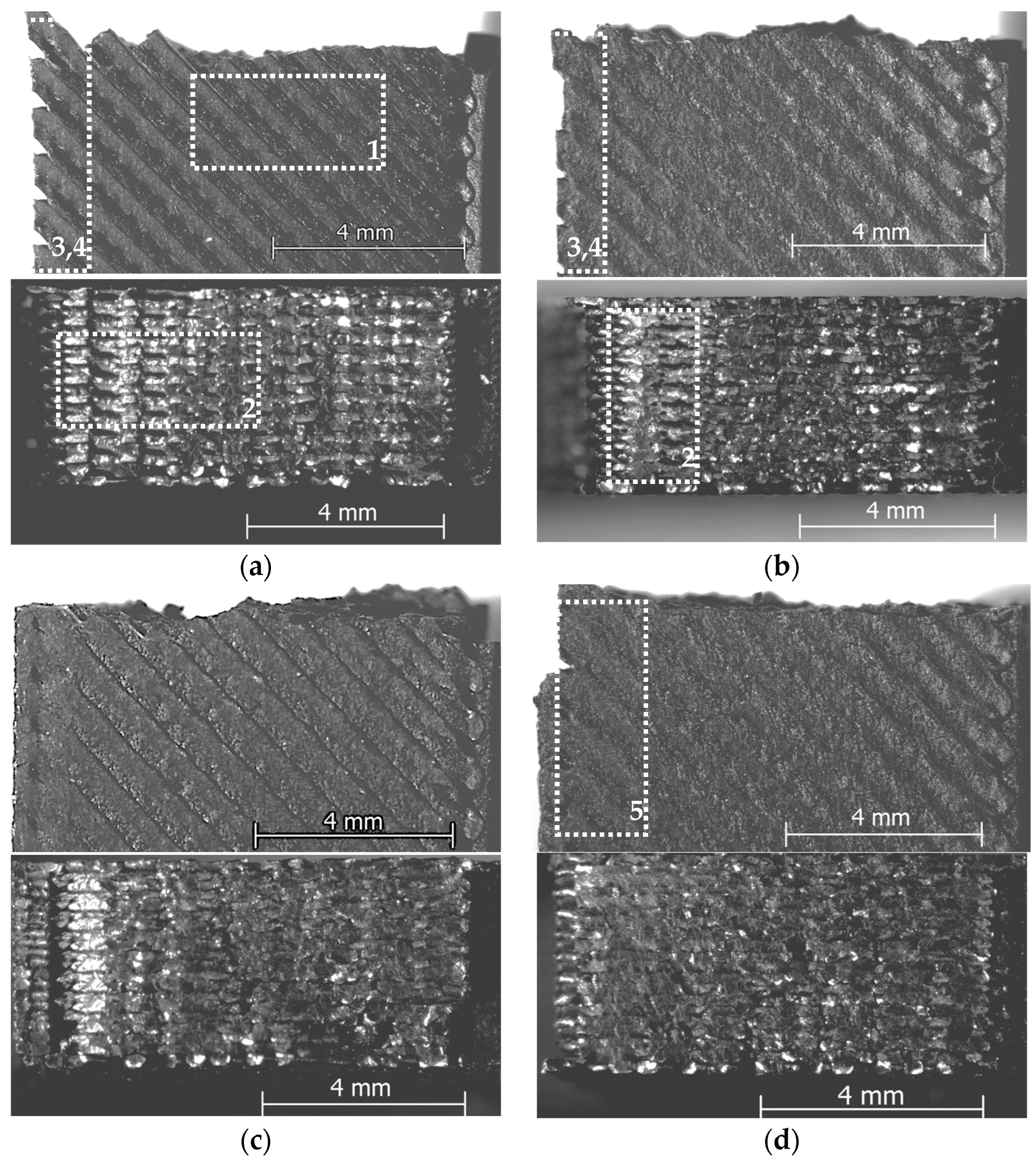 Polymers 17 02090 g004a