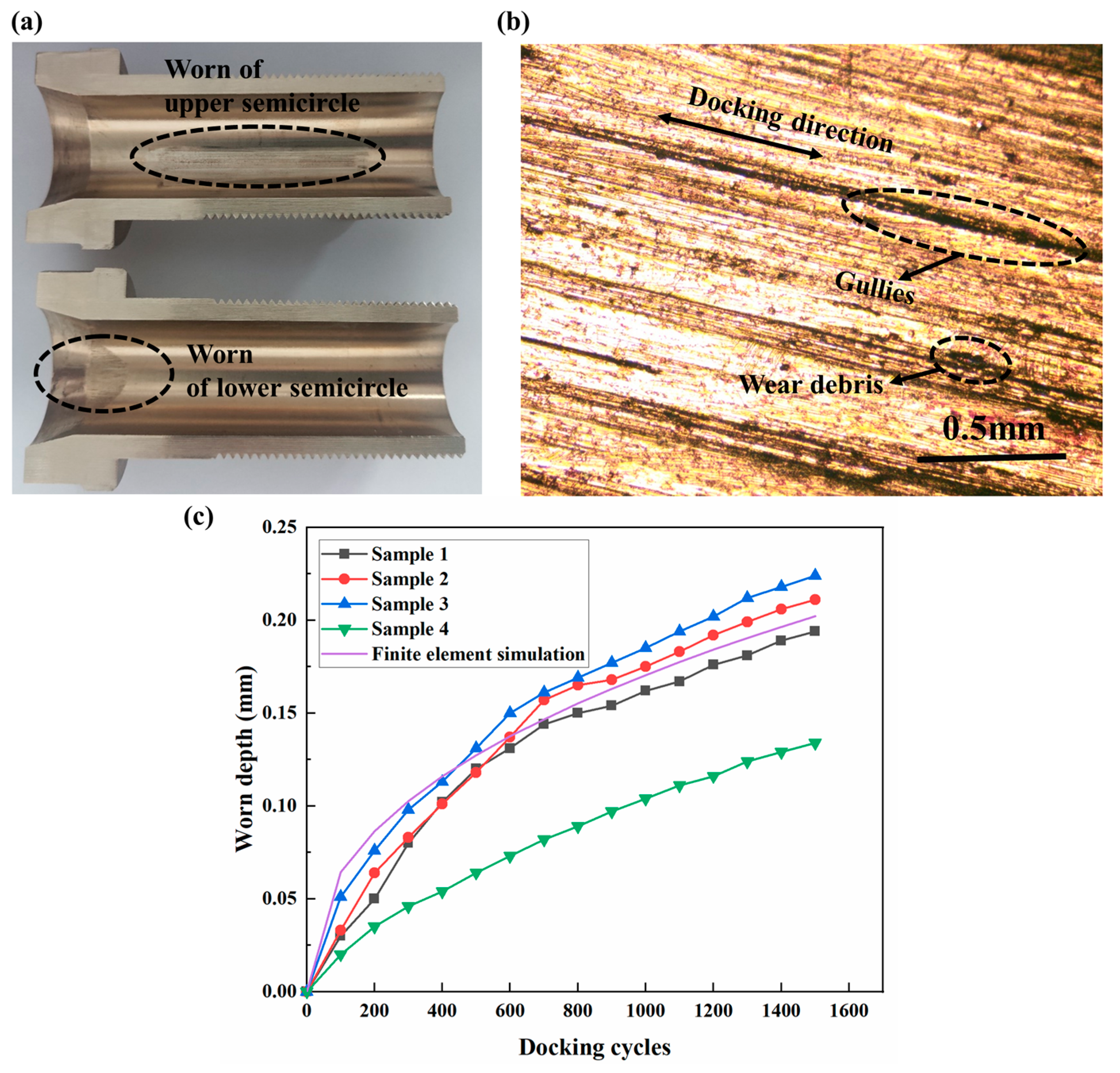 Polymers 17 02091 g014