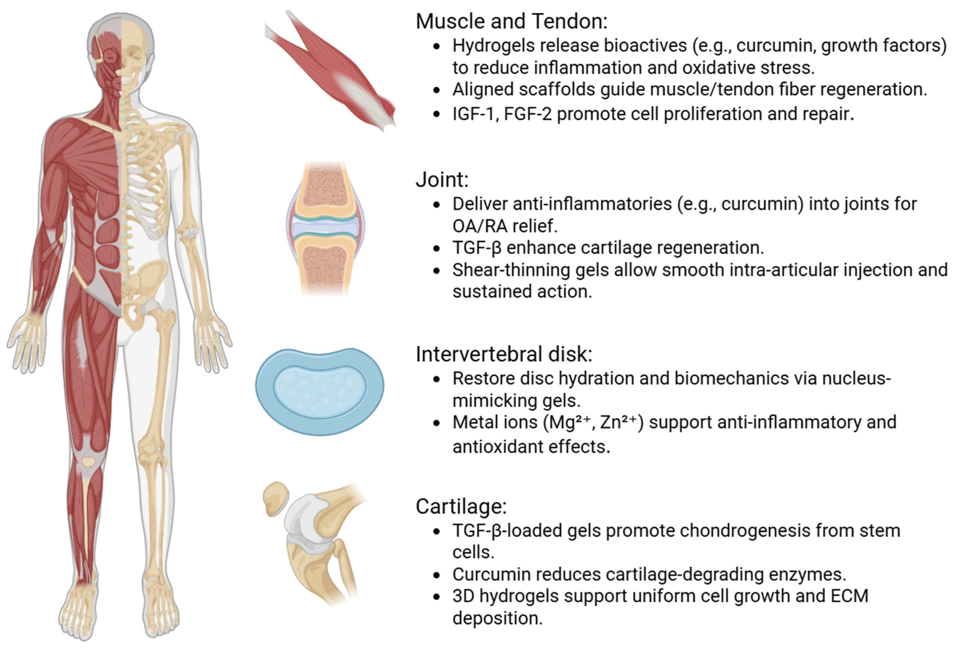 Polymers 17 02094 g003