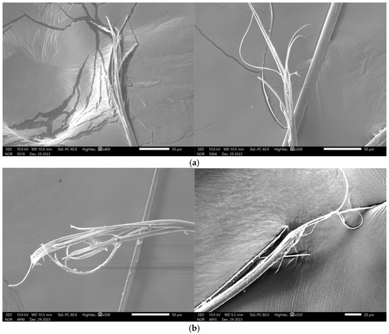 Strain-Rate-Dependent Tensile Behaviour and Viscoelastic