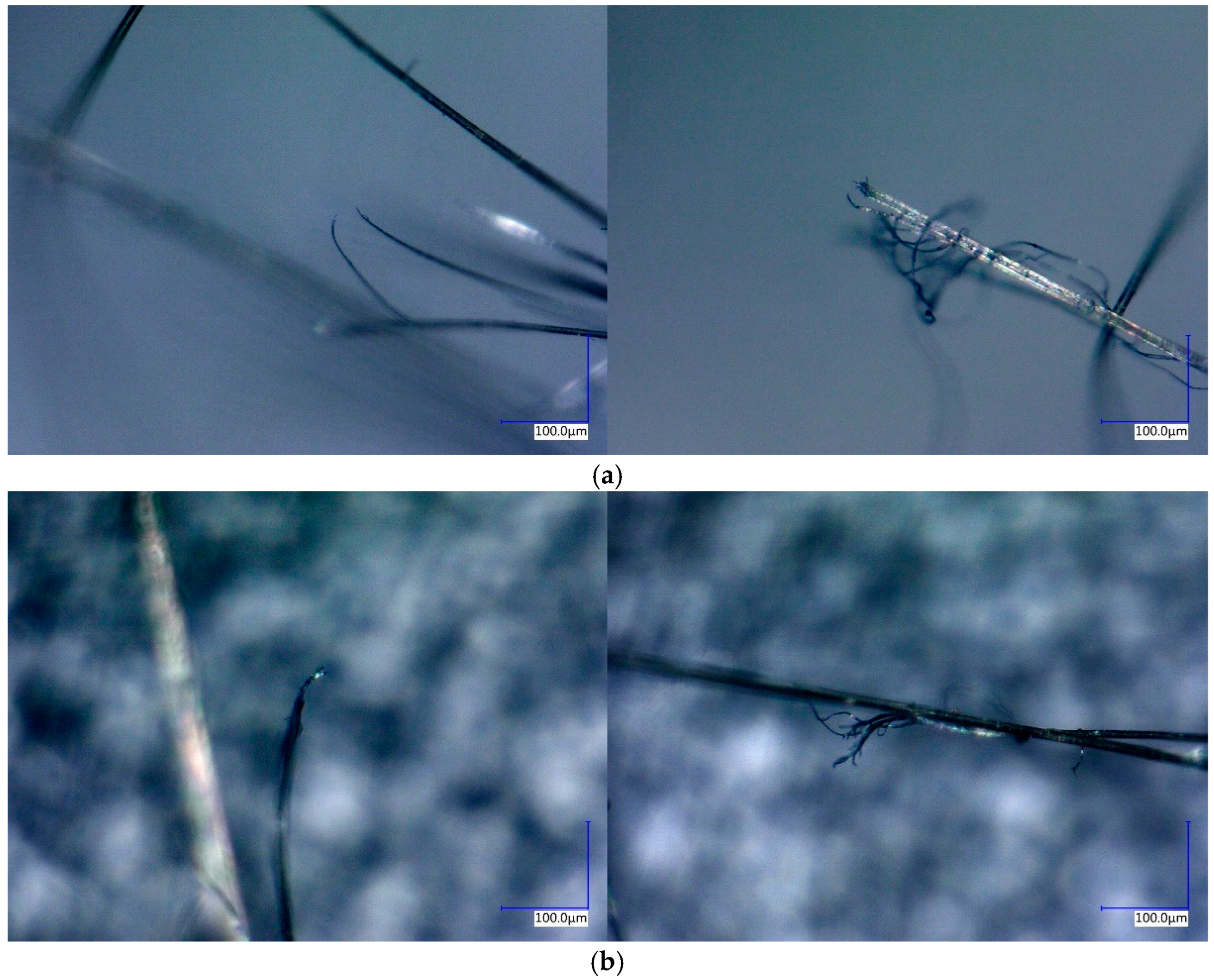 Polymers 17 02097 g019 Polymers 17 02097 g019