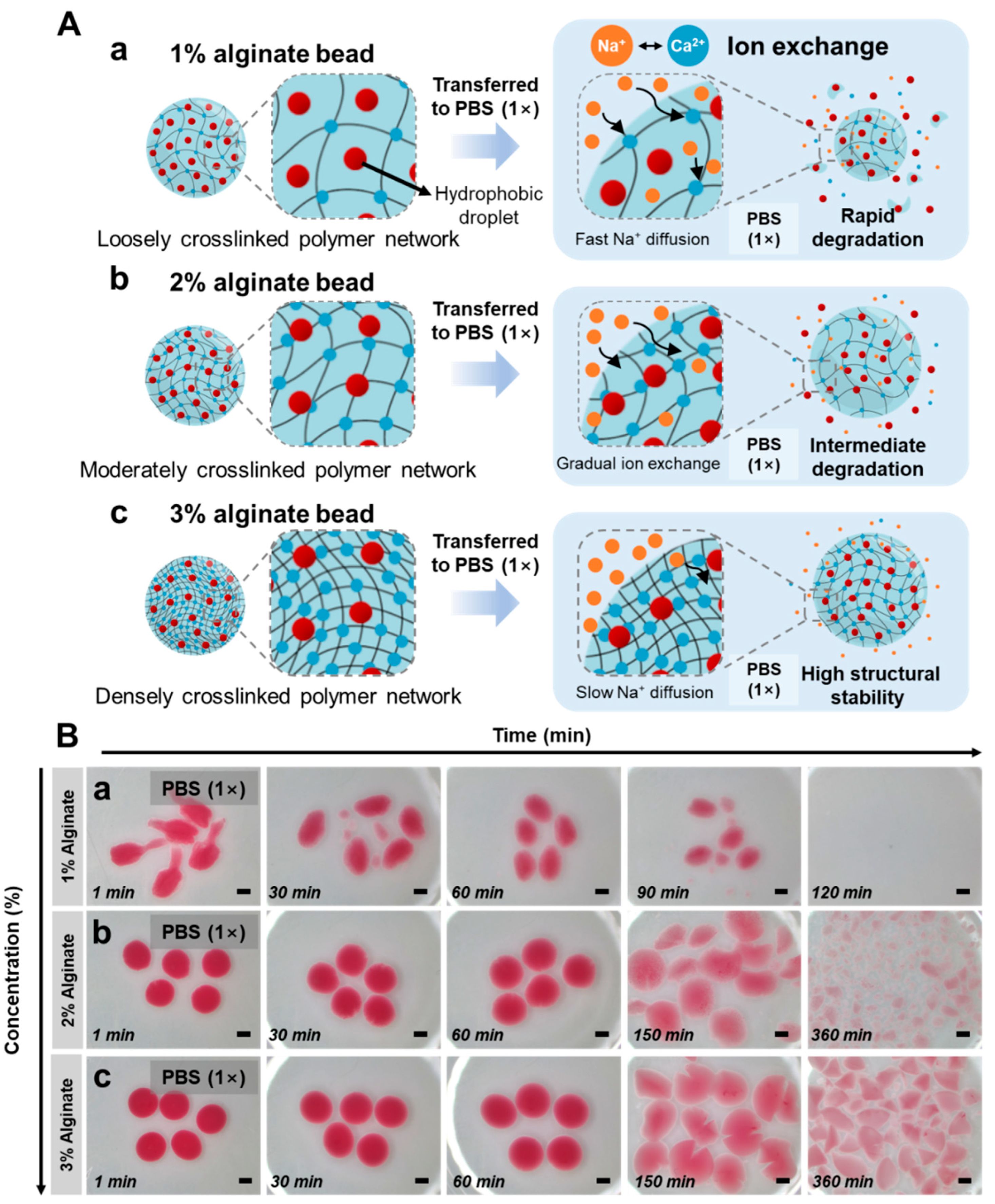 Polymers 17 02098 g003