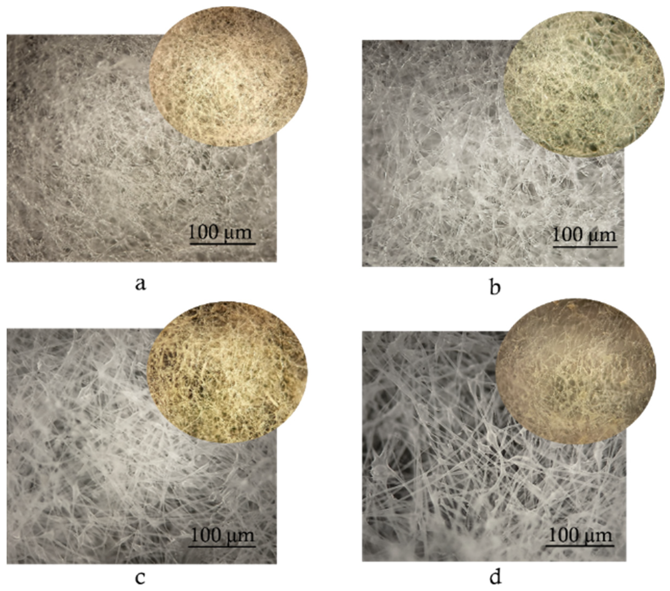 Polymers 17 02102 g008