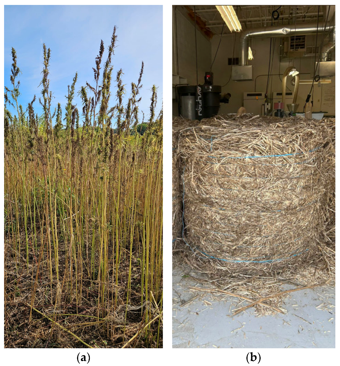 Polymers 17 02103 g002