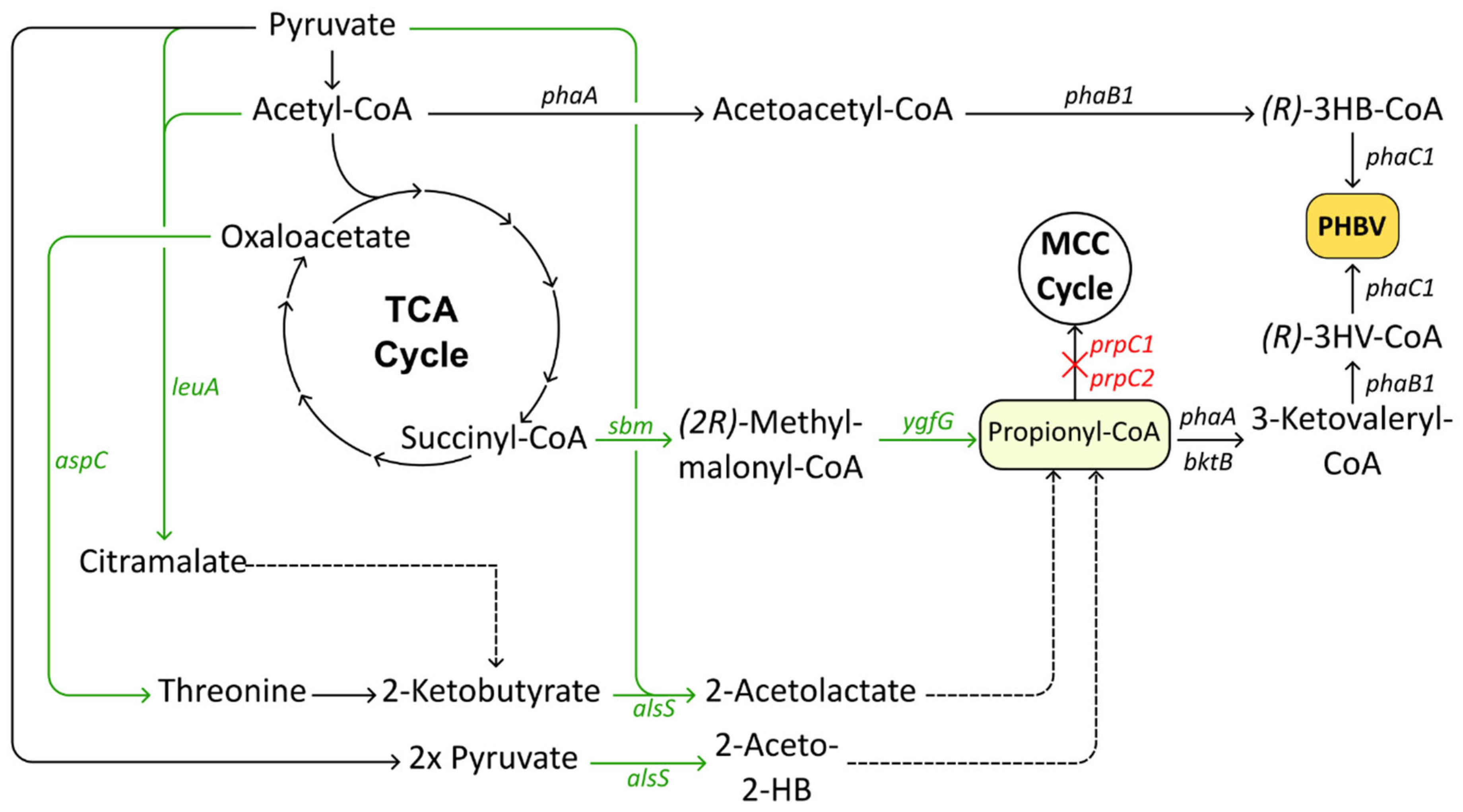 Polymers 17 02104 g003