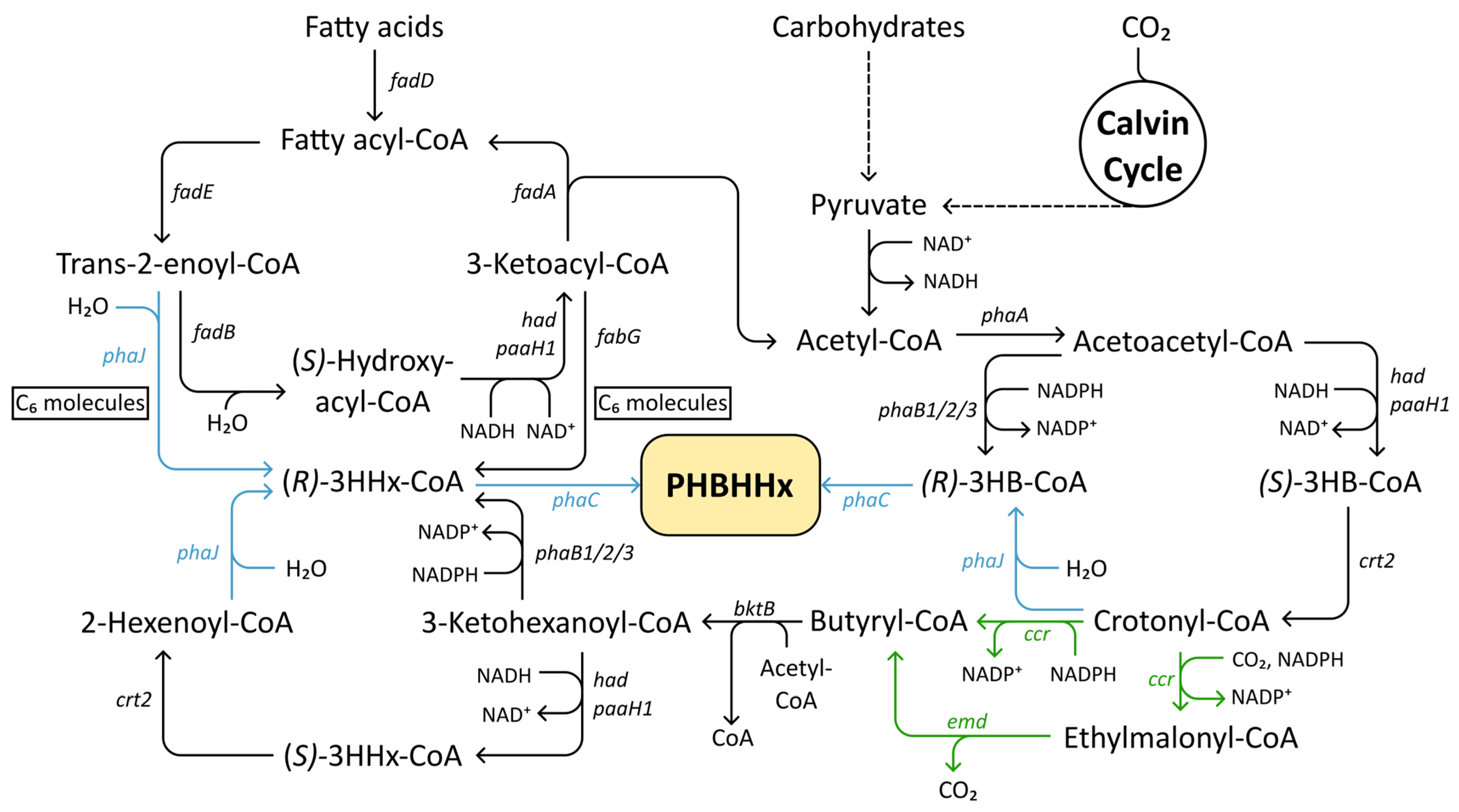 Polymers 17 02104 g004