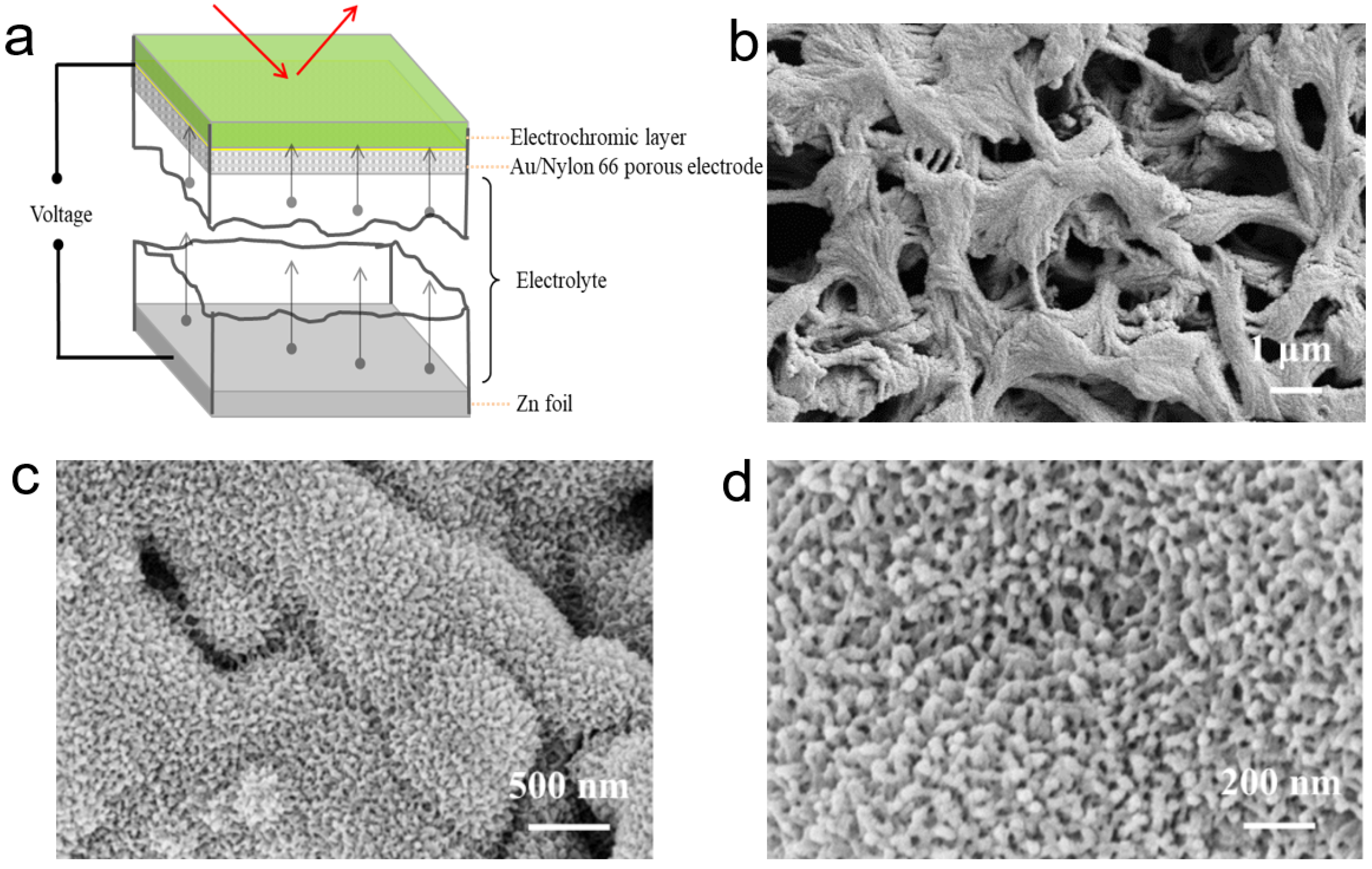 Polymers 17 02110 g001
