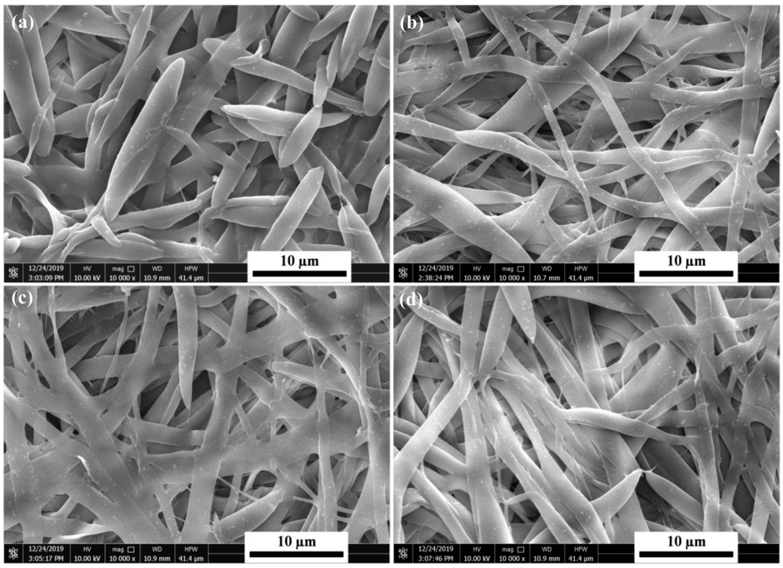 Polymers 17 02114 g001