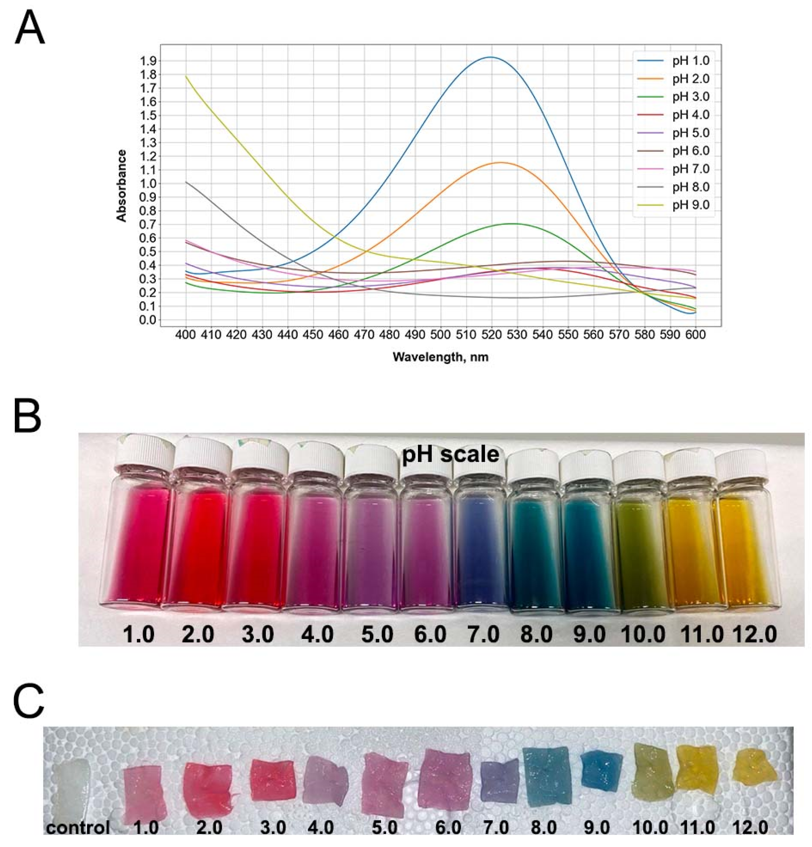 Polymers 17 02116 g001