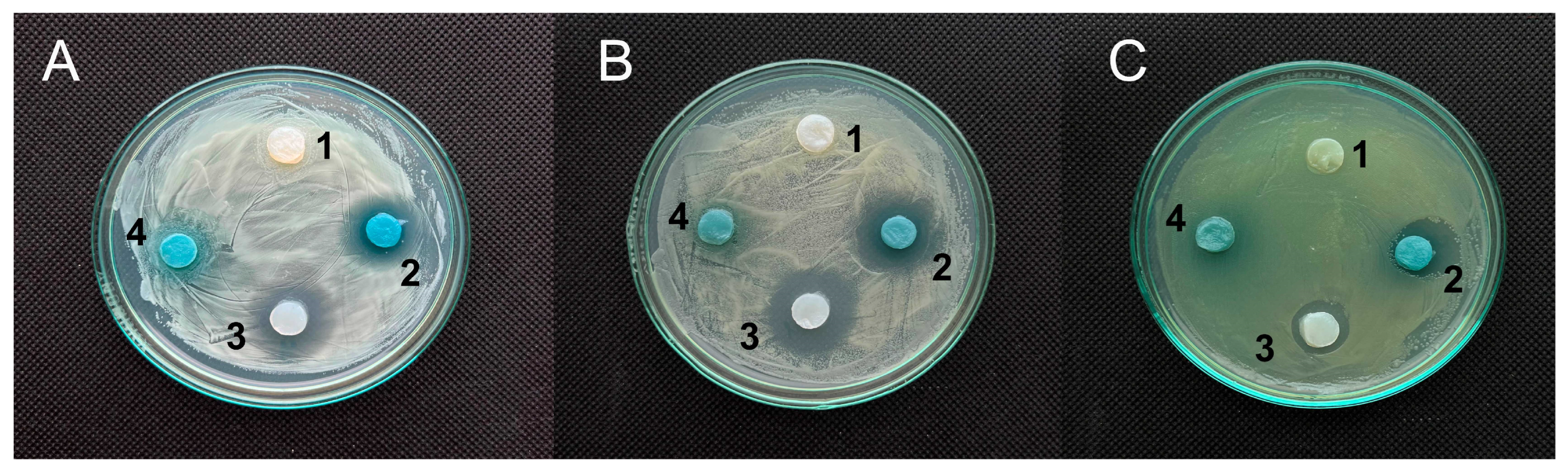 Polymers 17 02116 g004