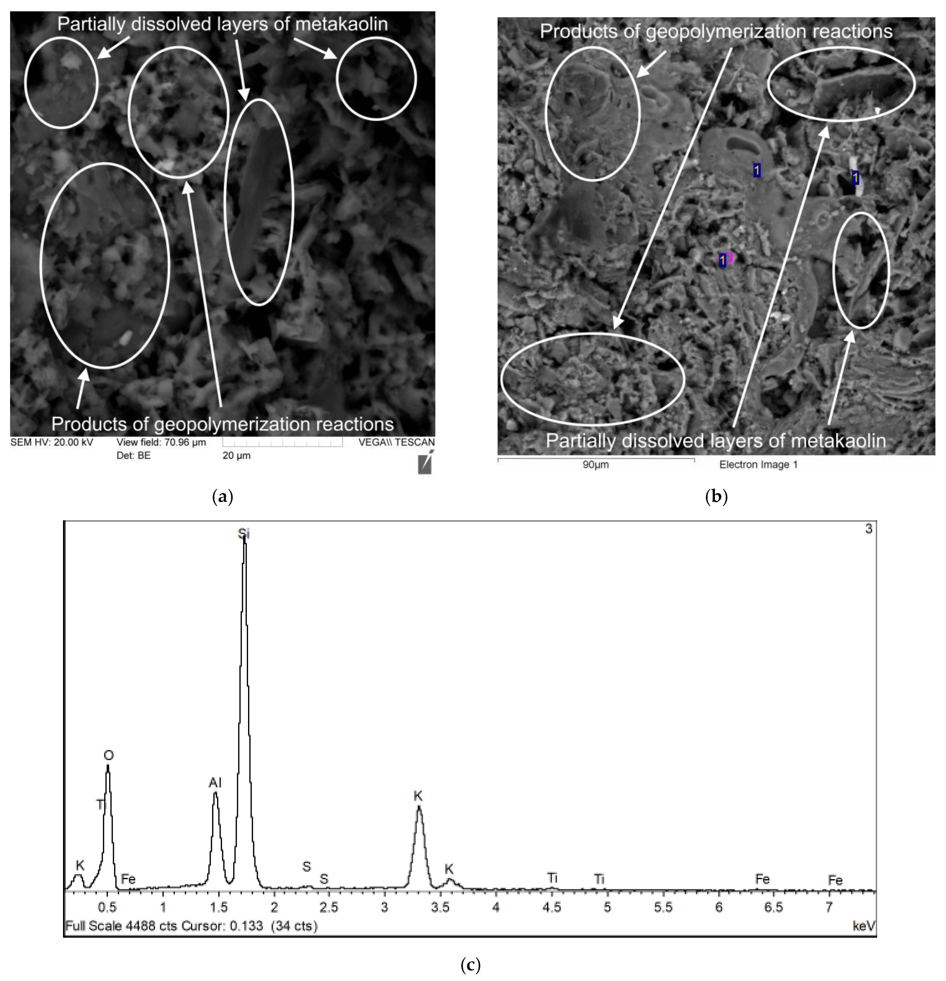 Polymers 17 02119 g010