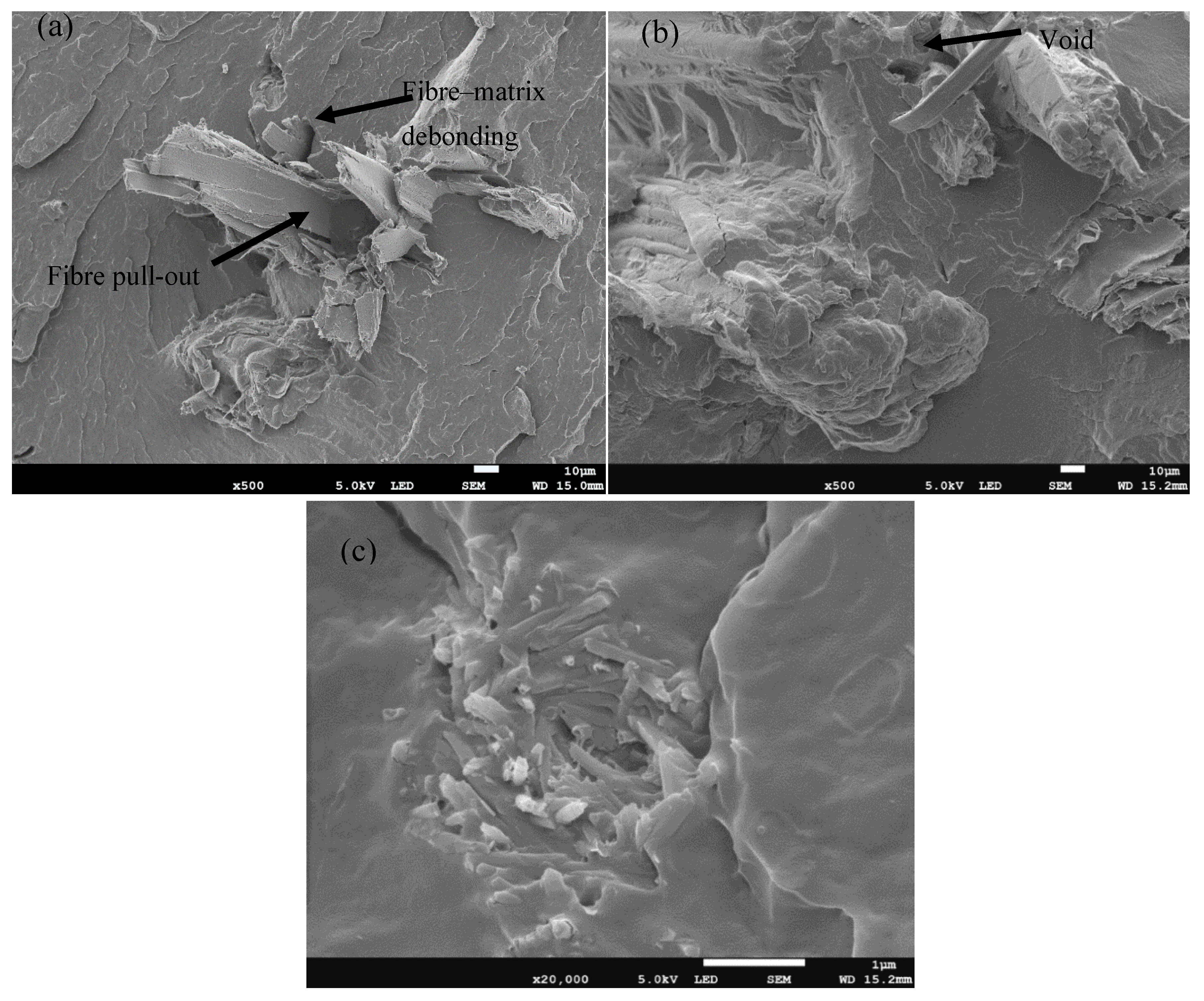 Polymers 17 02120 g001