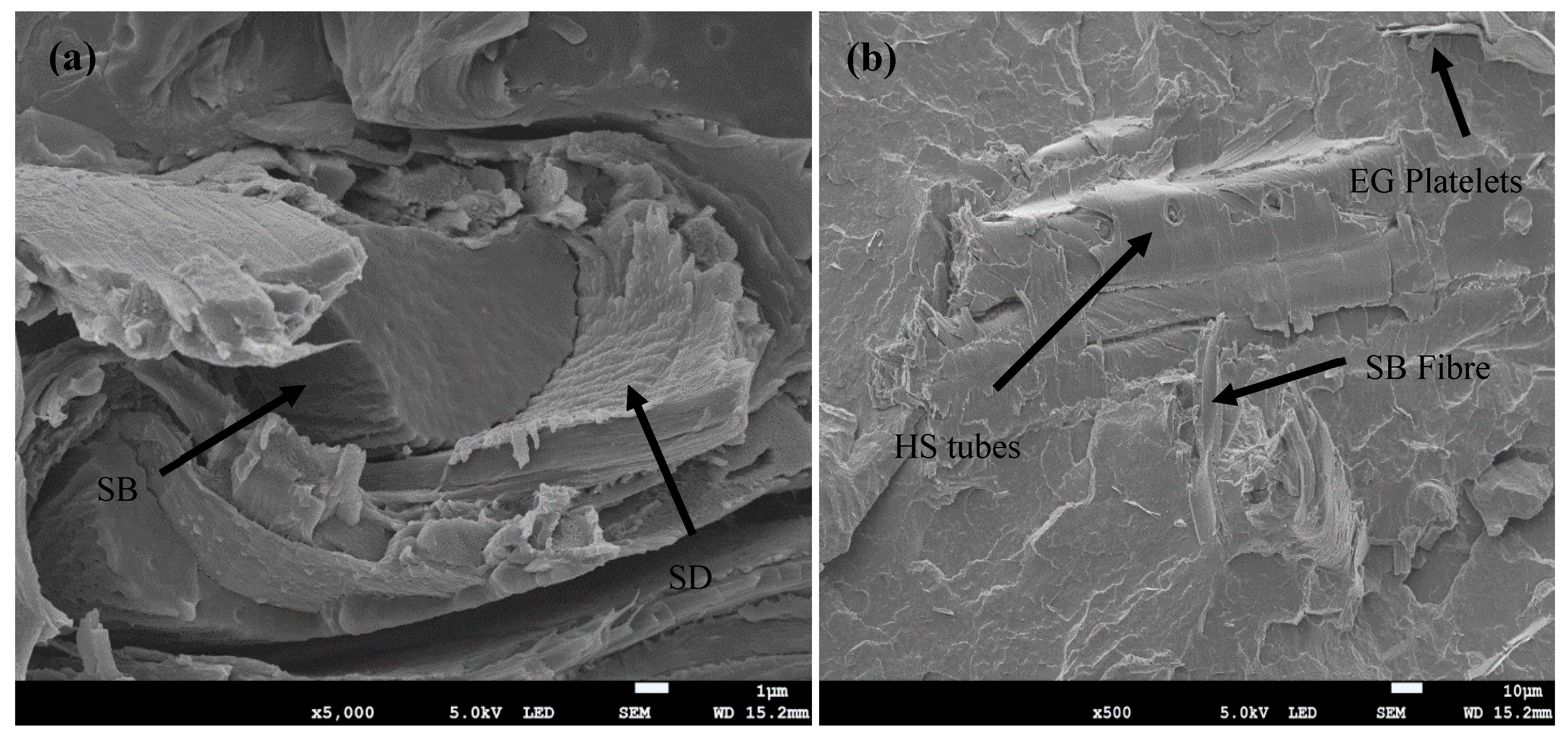 Polymers 17 02120 g002