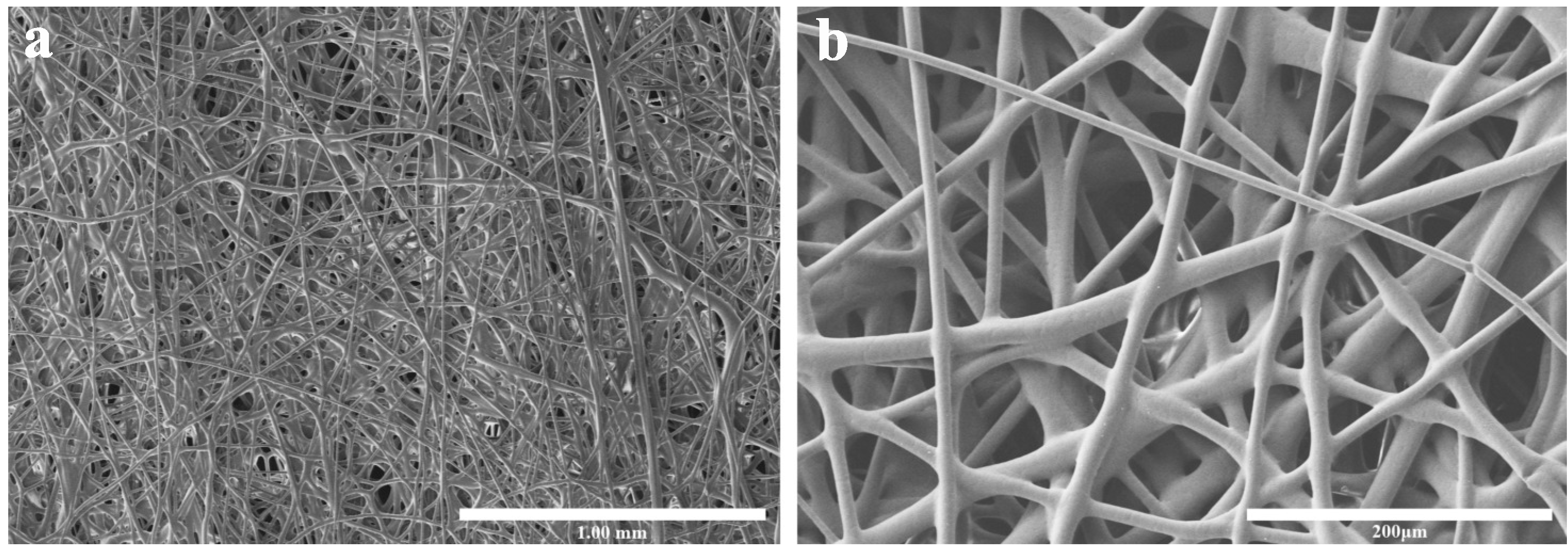 Polymers 17 02121 g001 Polymers 17 02121 g001