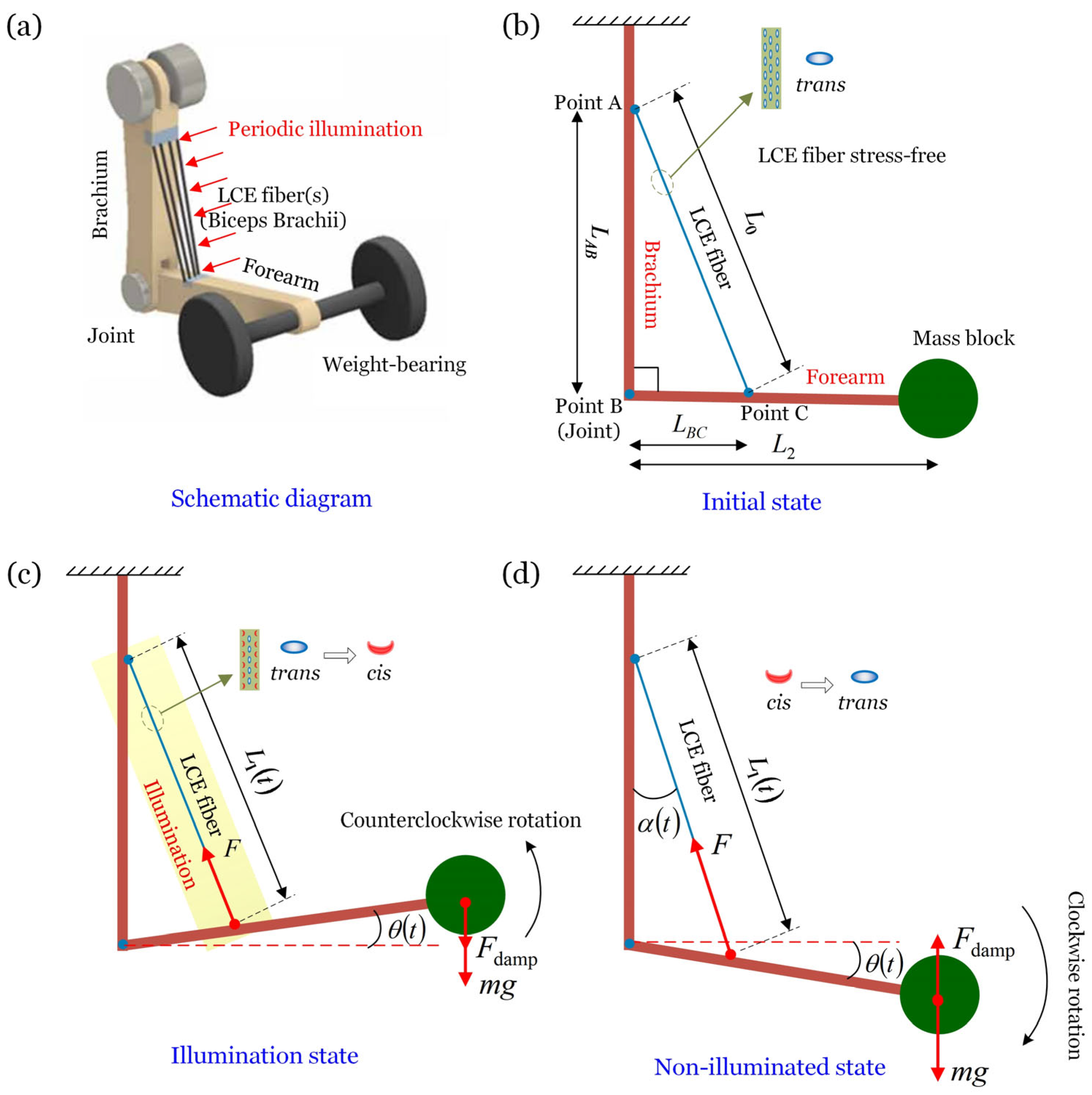 Polymers 17 02122 g001 Polymers 17 02122 g001