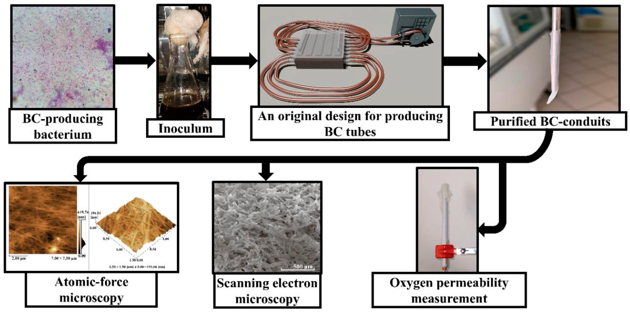 Polymers 17 02123 g001 Polymers 17 02123 g001